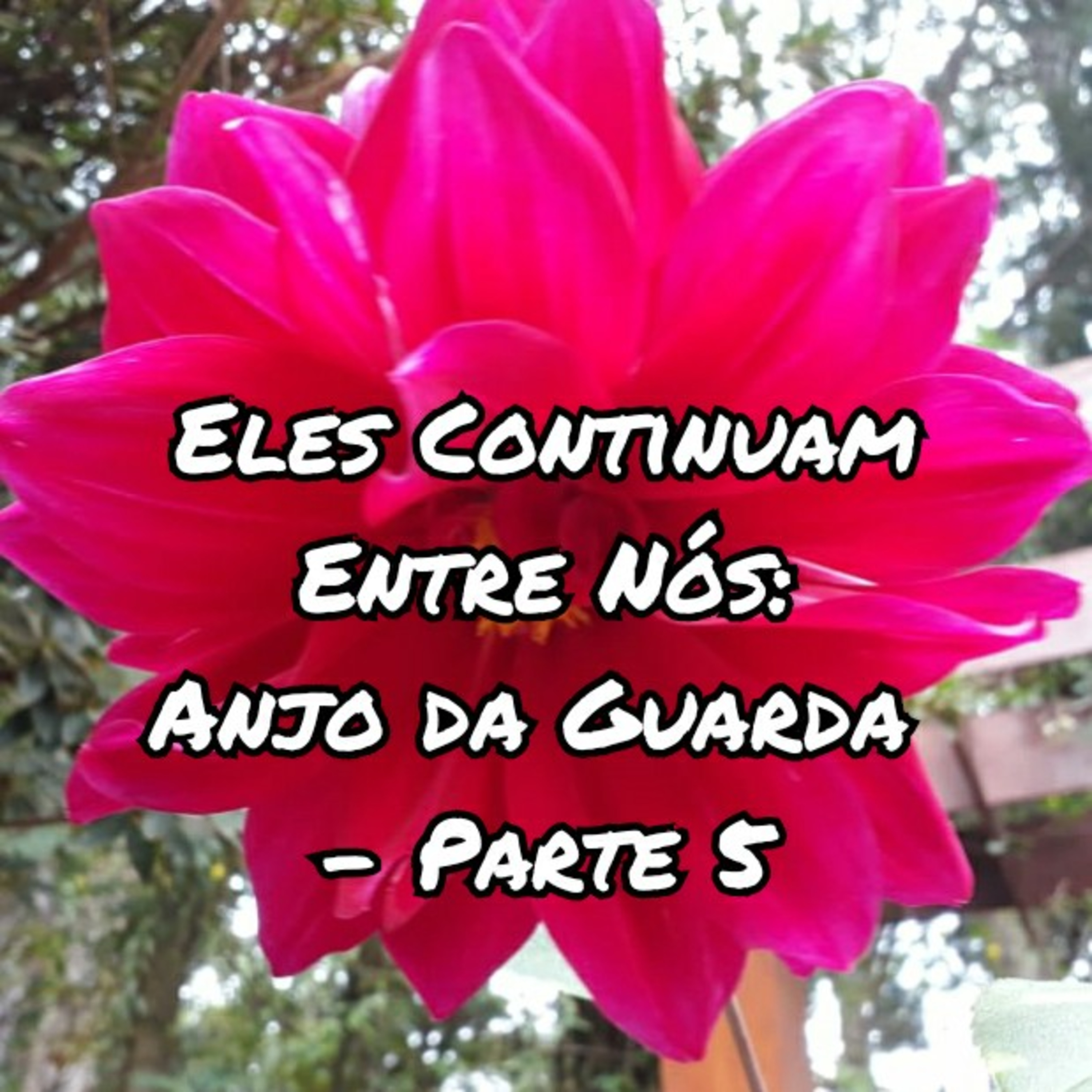 Espiritualidade Por Elisabette Godoy