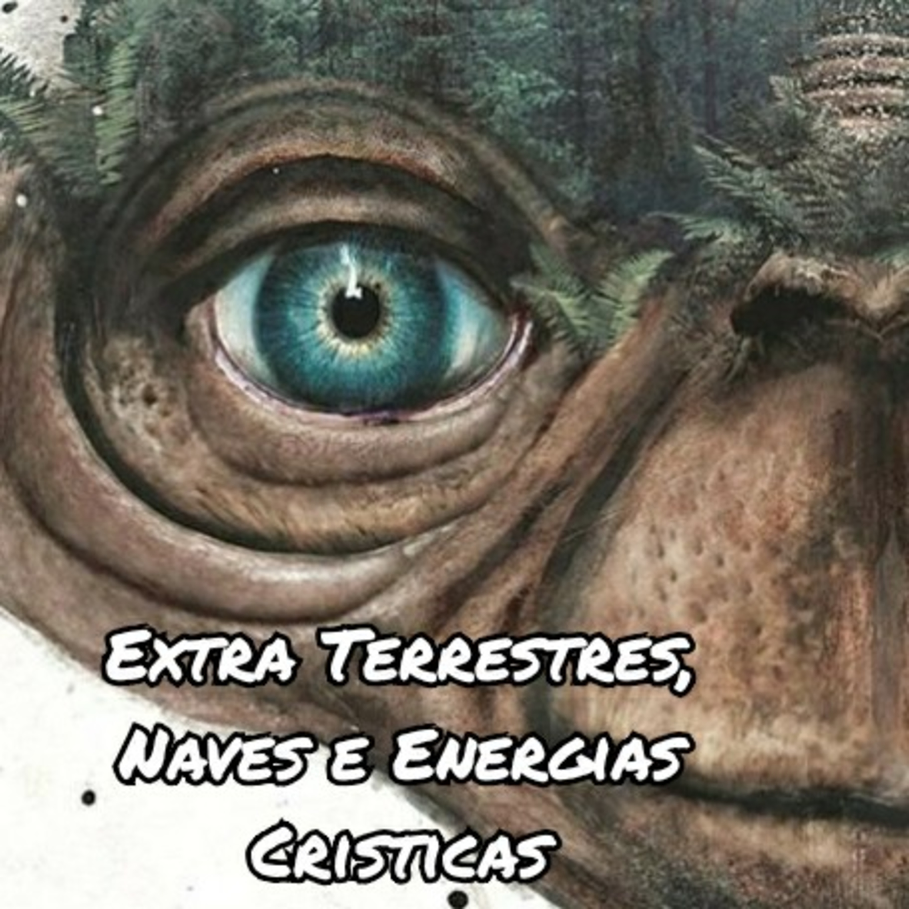 Espiritualidade Por Elisabette Godoy