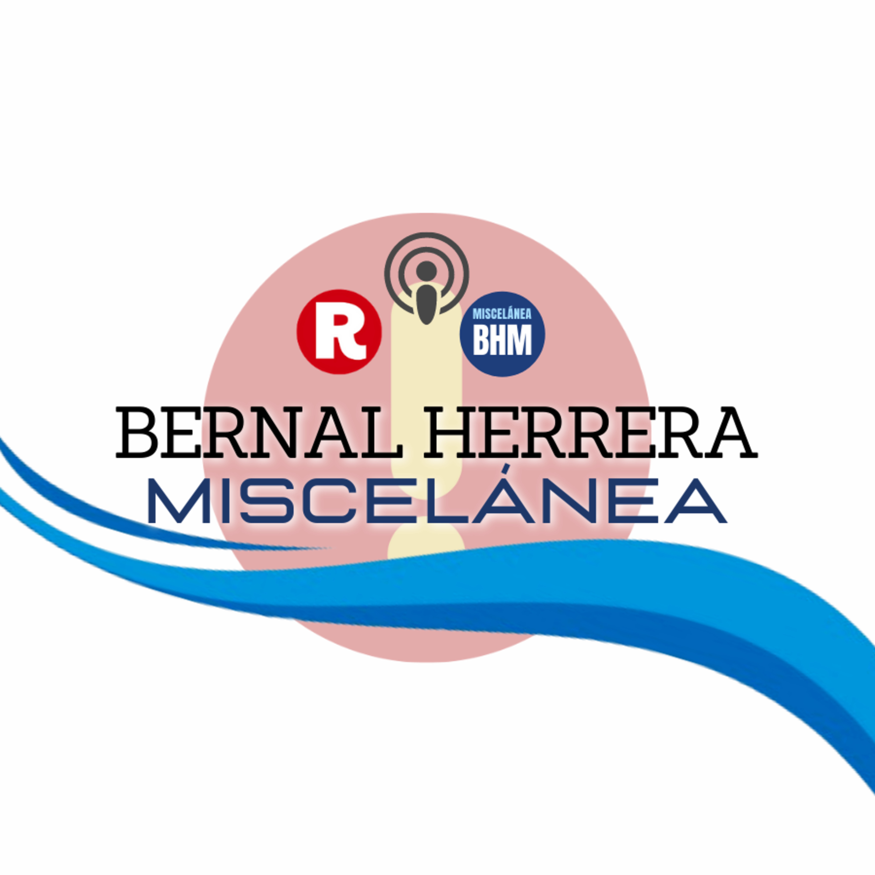 Bernal Herrera: "La no-reforma del sector privado" en Miscelánea episode artwork