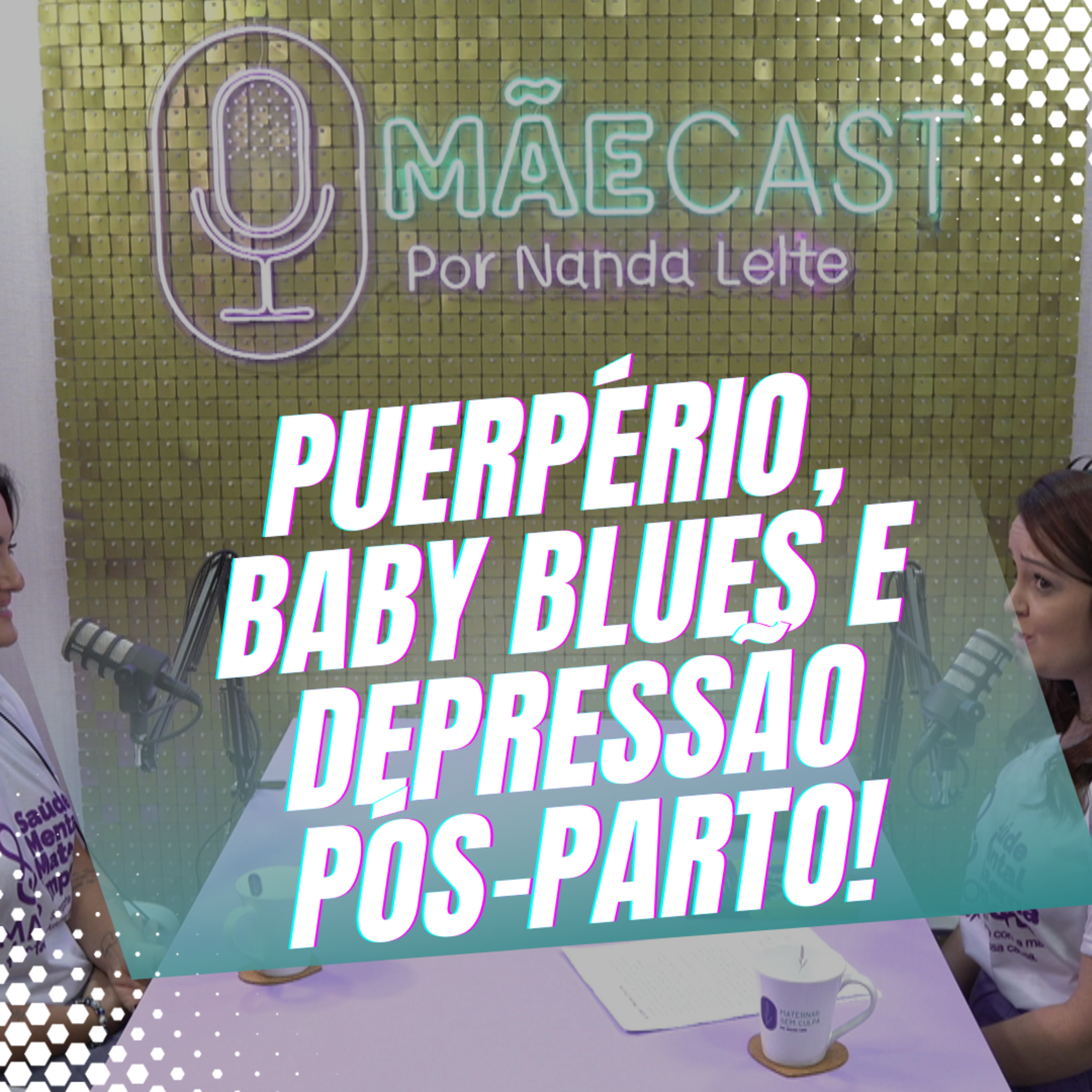 Episódio 09/Cortes - O que de fato é ciclo gravídico puerperal? episode artwork