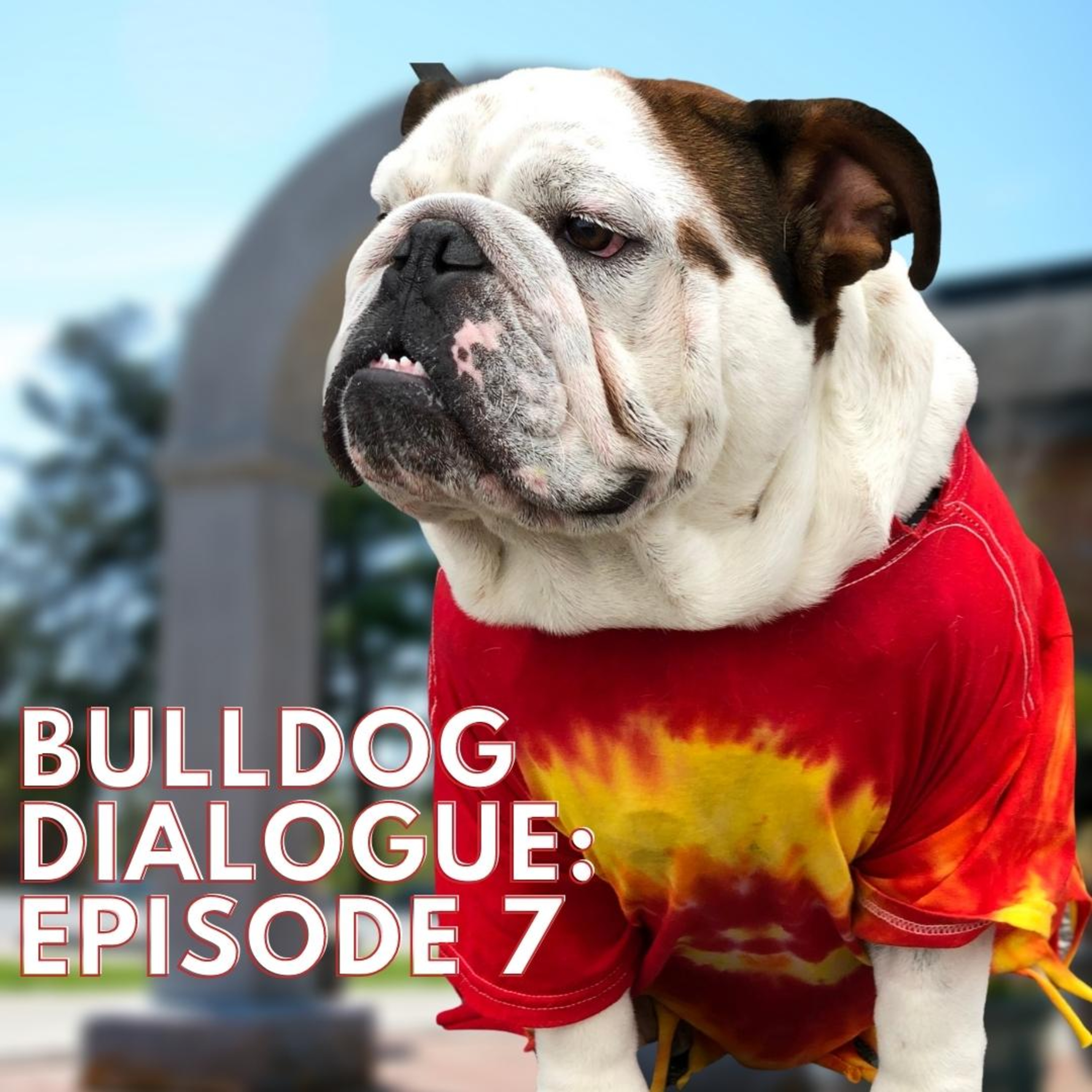 Gardner-Webb University: Podcast Network