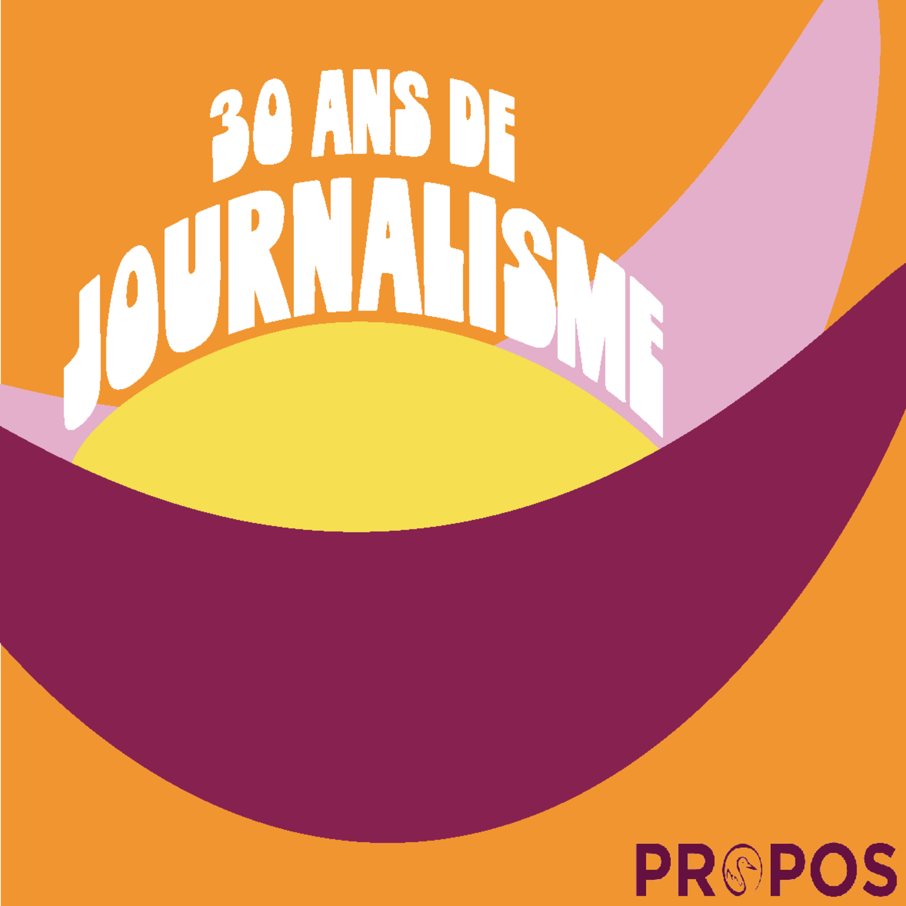 30 ans de Journalisme : Le Journalisme Politique