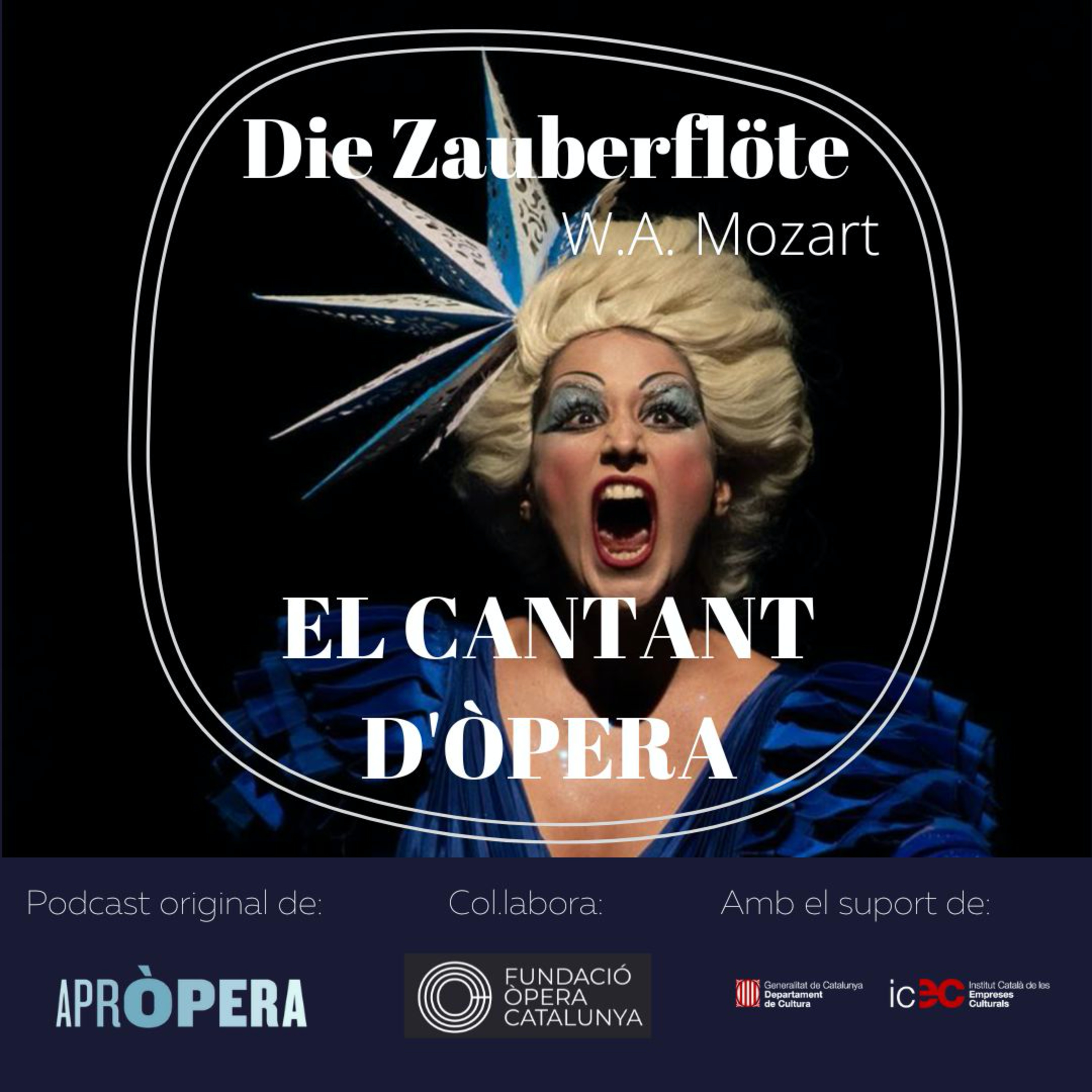 El cantant d\'òpera