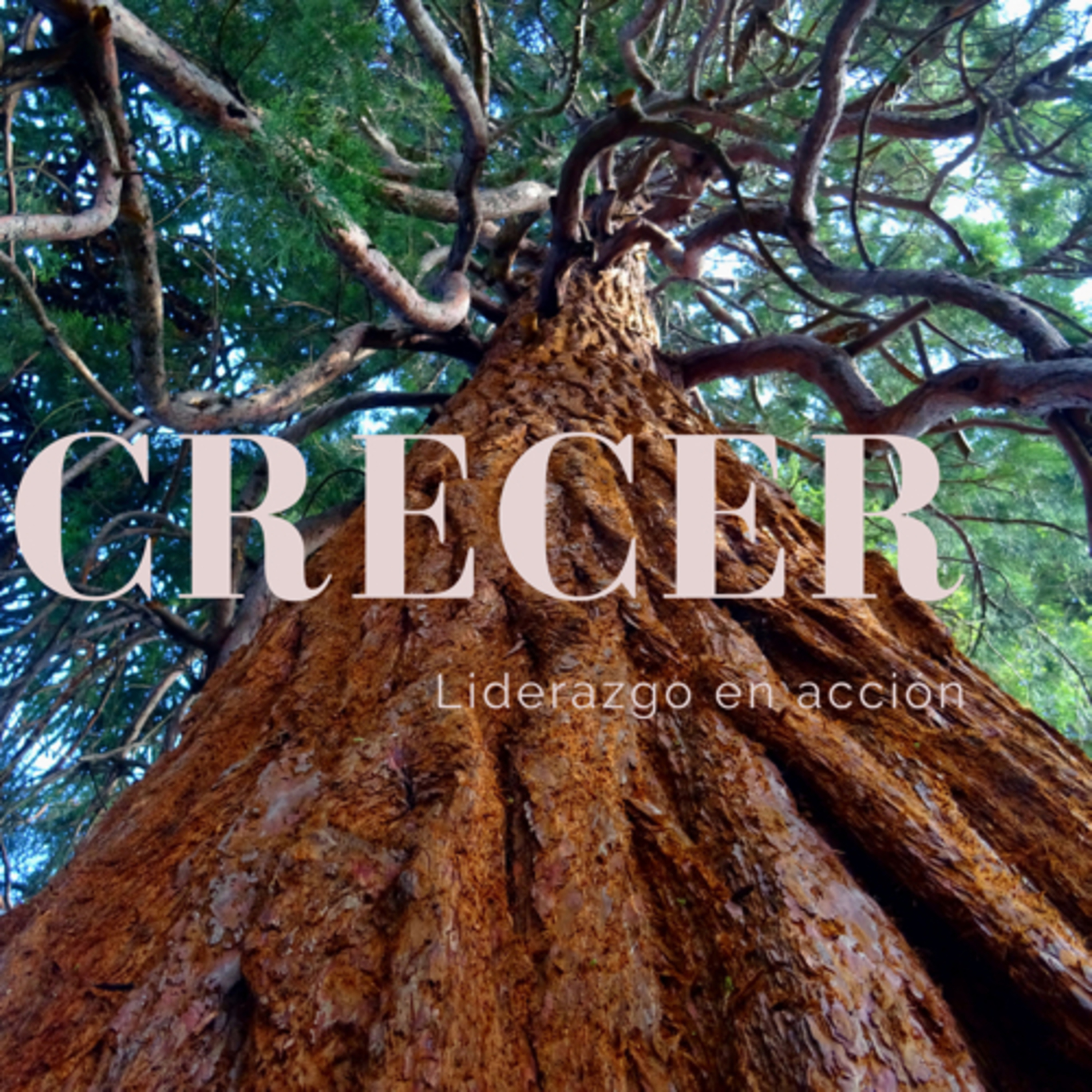 Crecer episode artwork