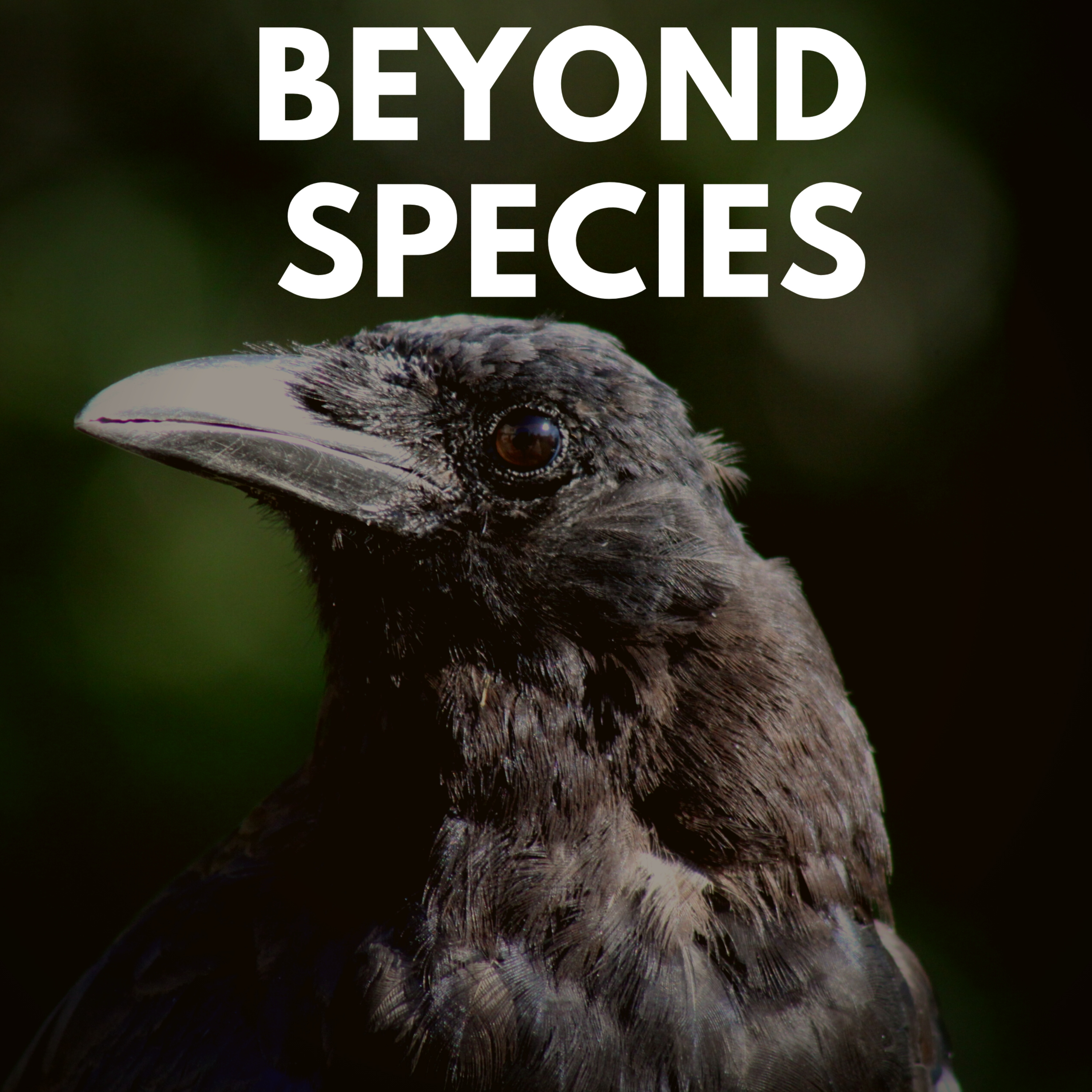 Beyond Species
