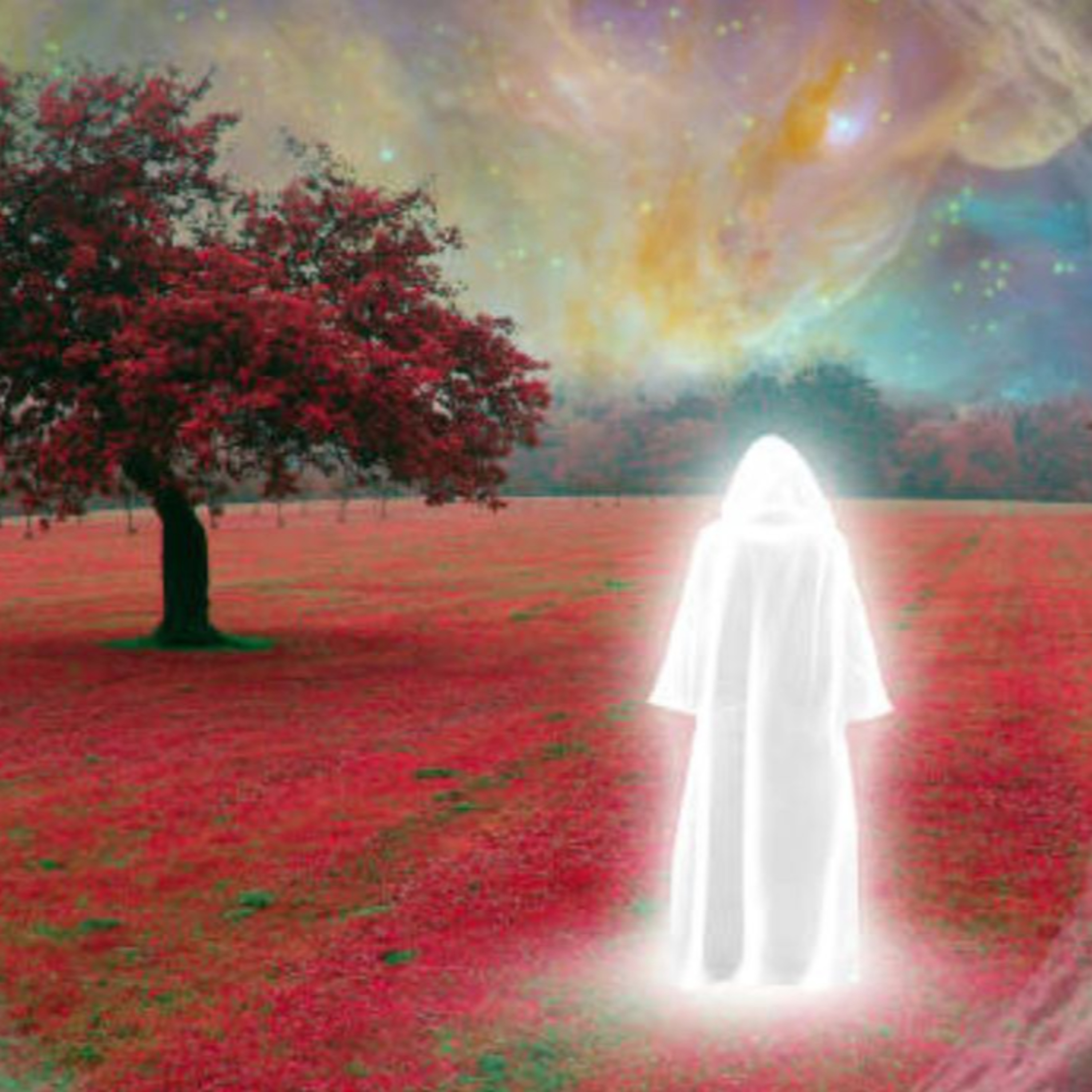 Near Death Experience: My Miraculous Survival Story - s1xpln2