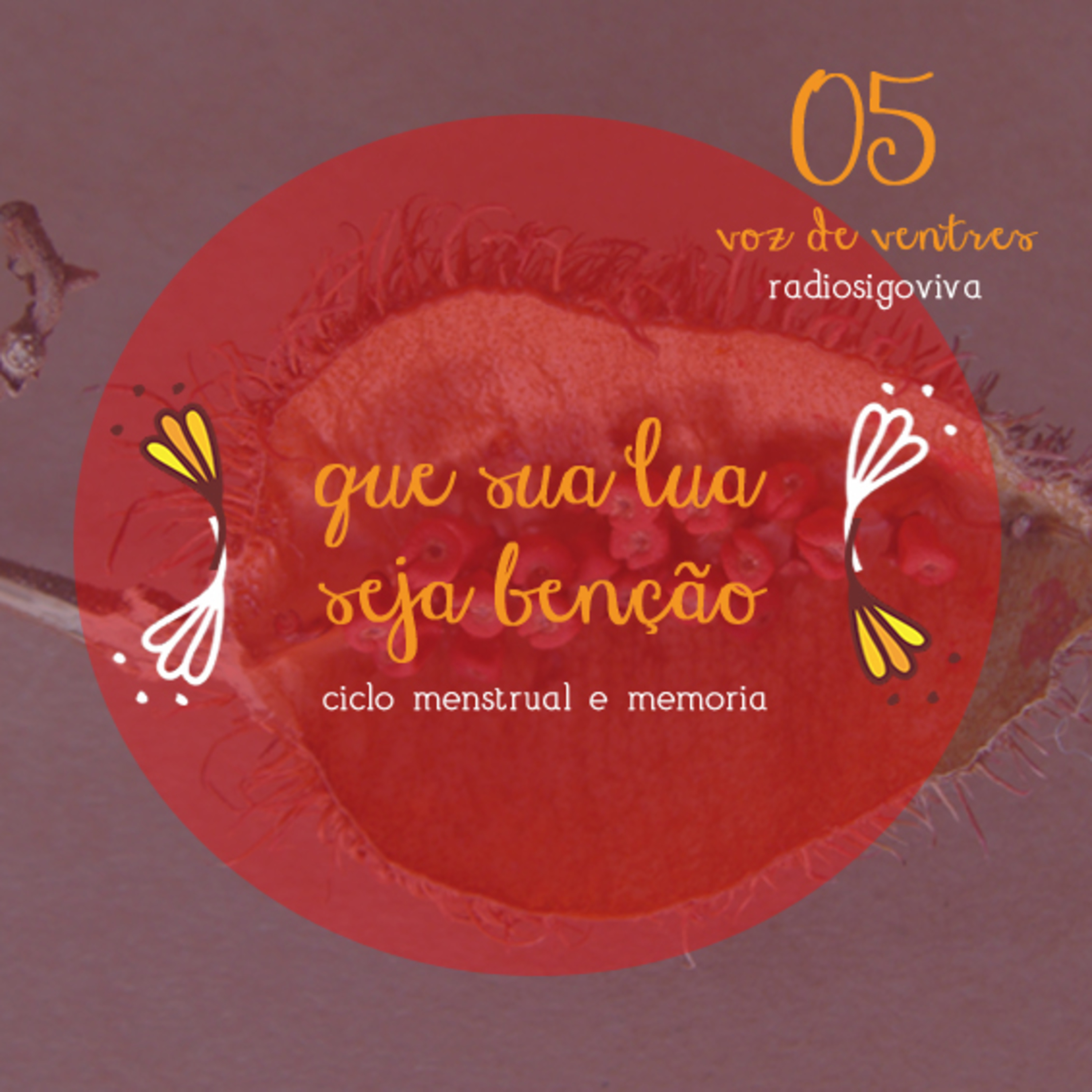 podcast voz de ventres - radiosigoviva
