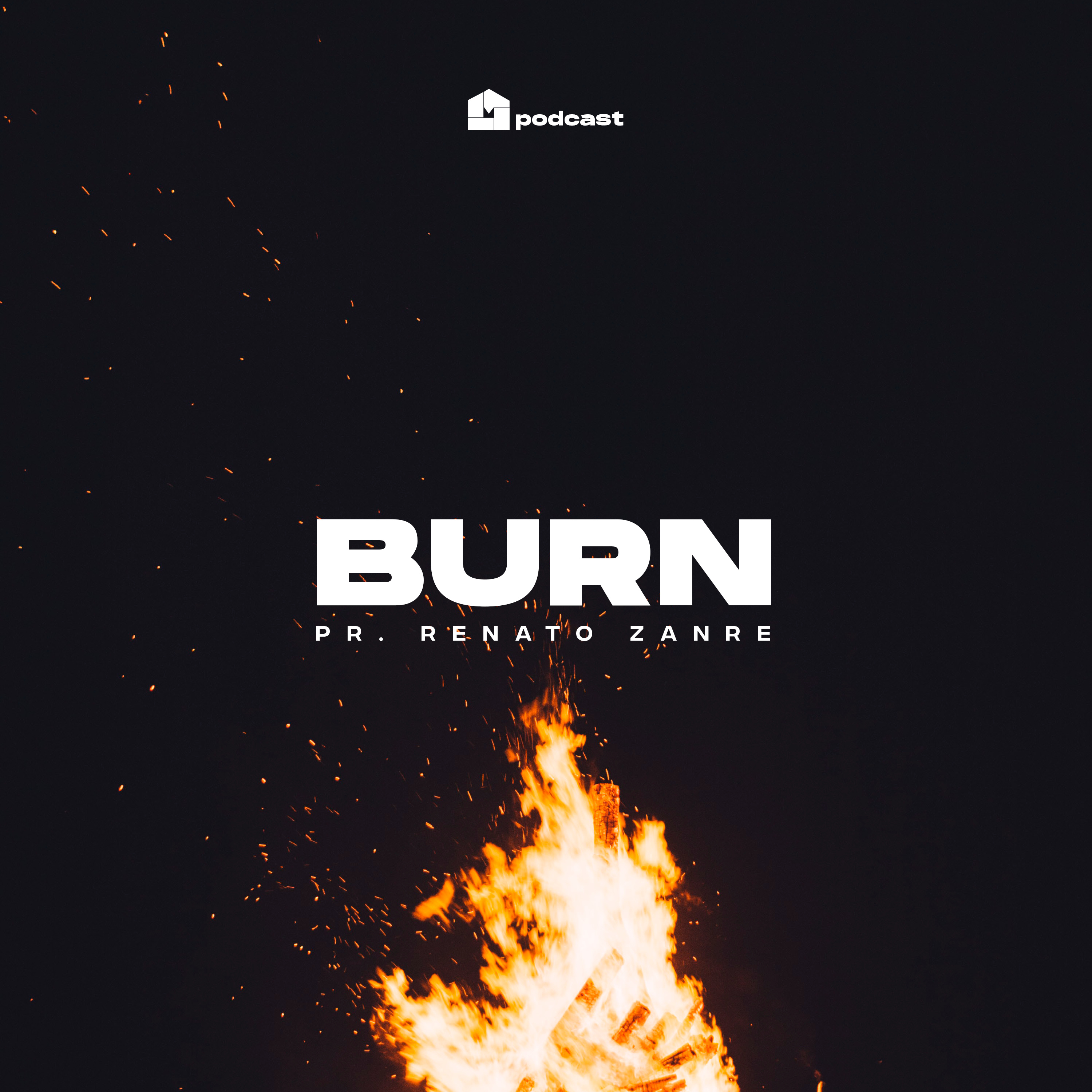 Burn - Renato Zanre episode artwork