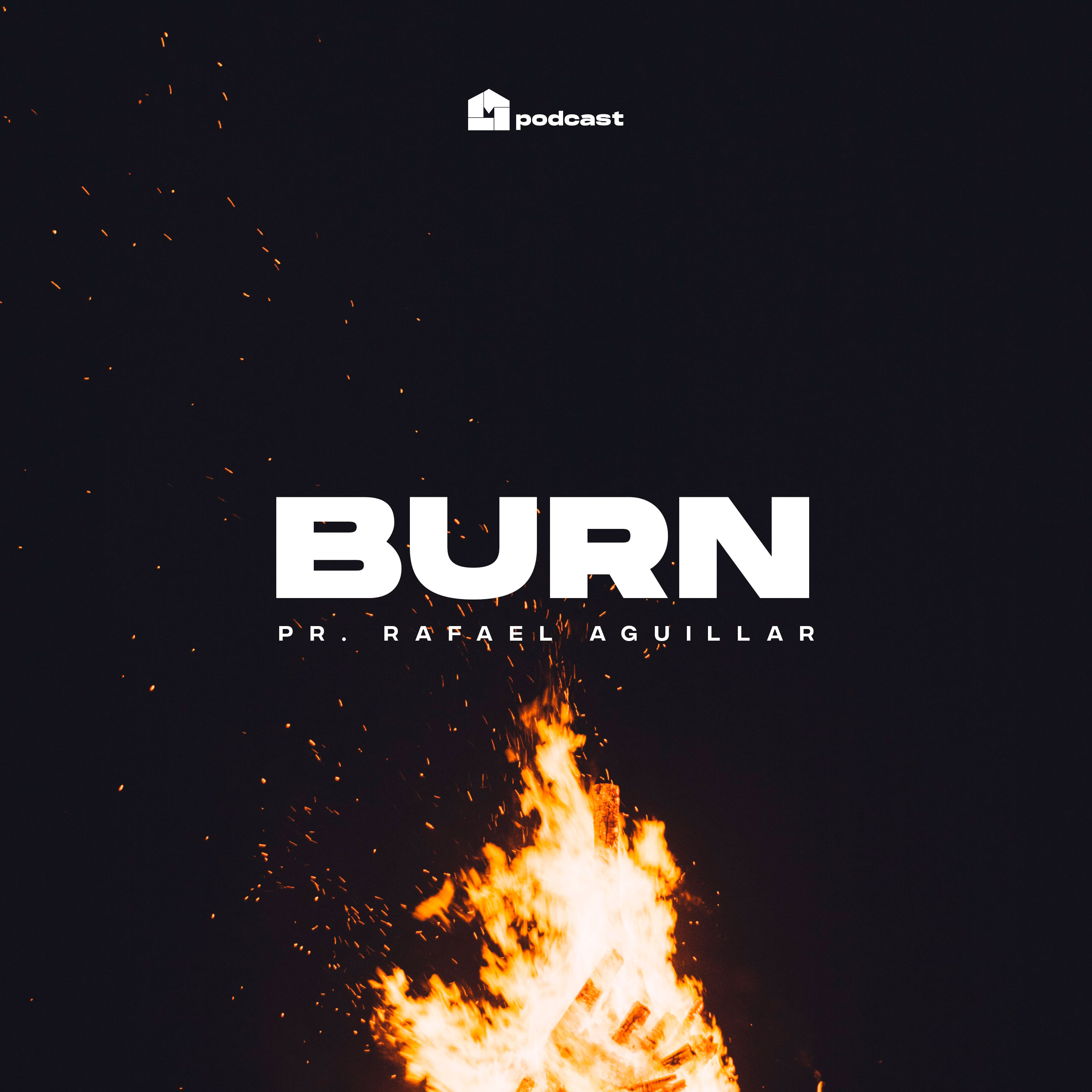 Burn - Rafael Aguillar episode artwork