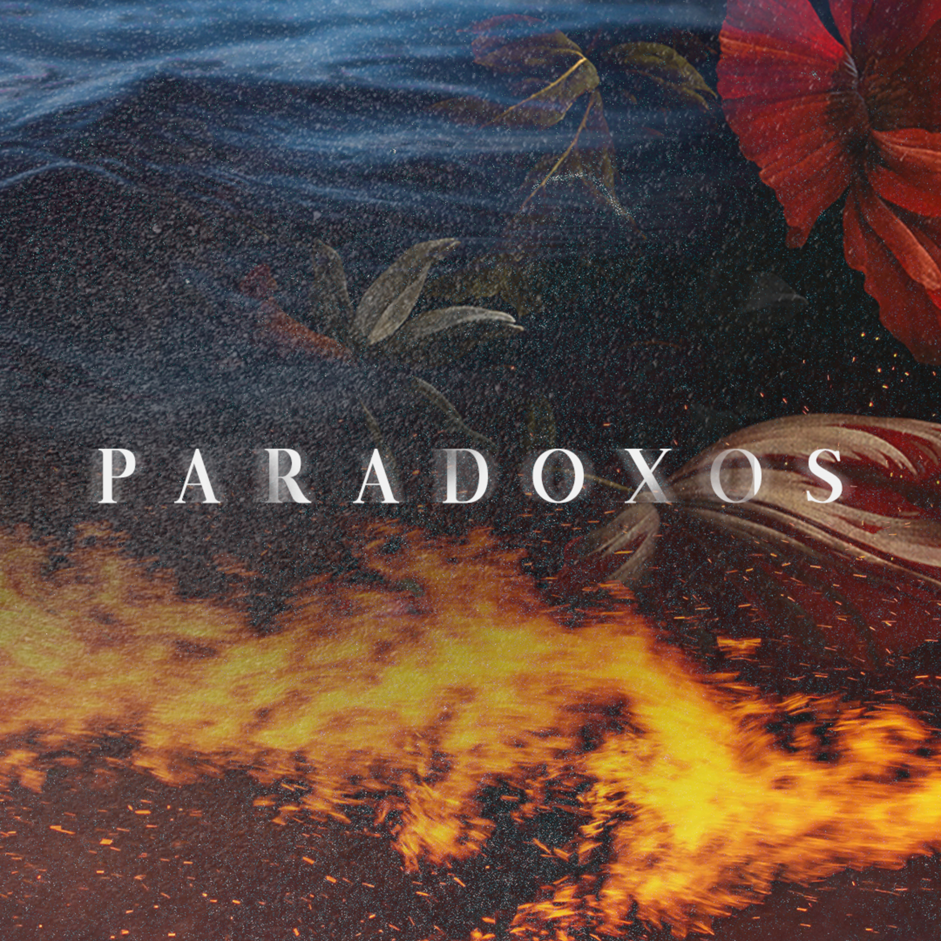 Paradoxo Parte 04 - Pr Henrique Maia episode artwork