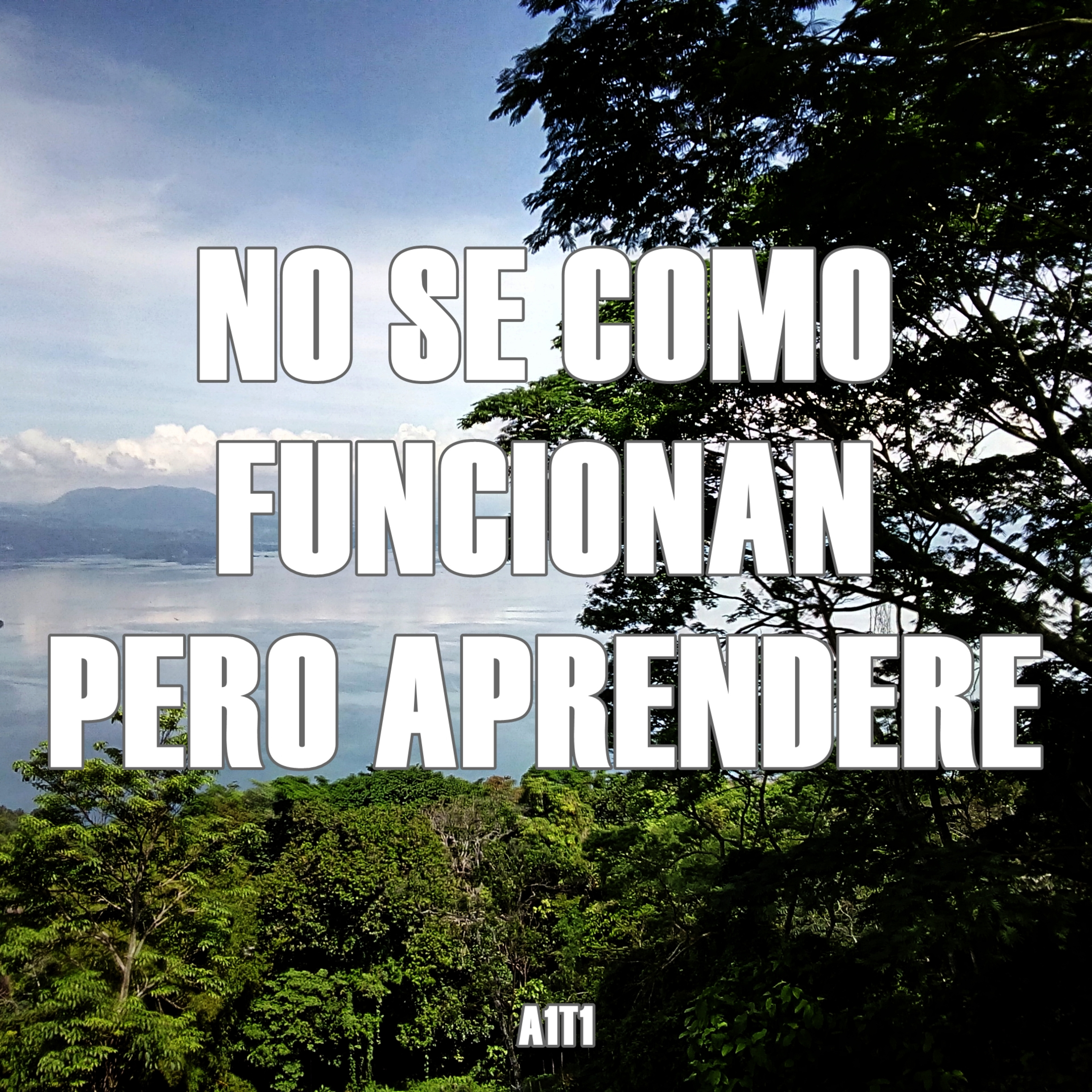 No se como funciona pero lo hago y aprendo - A1 T1