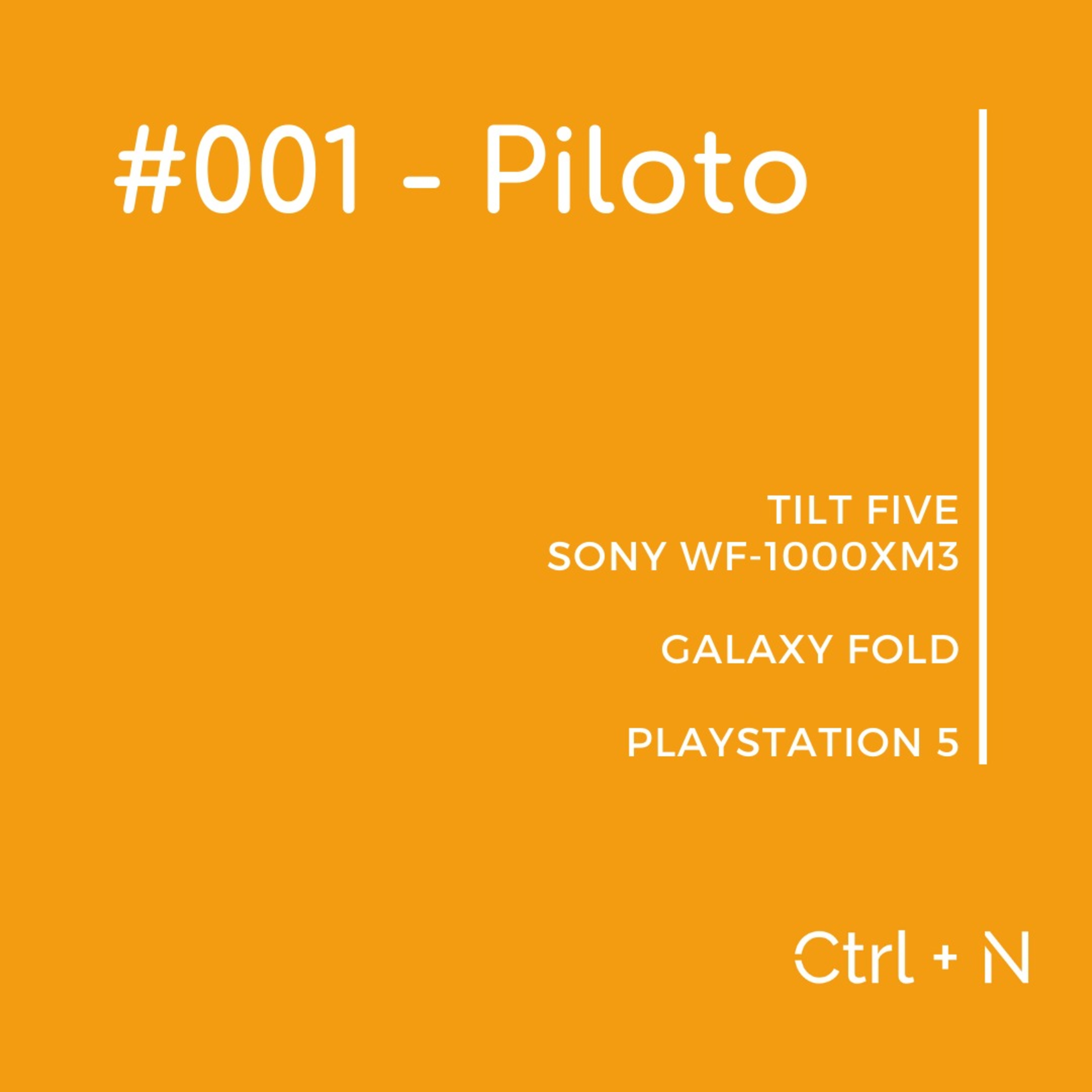 Piloto