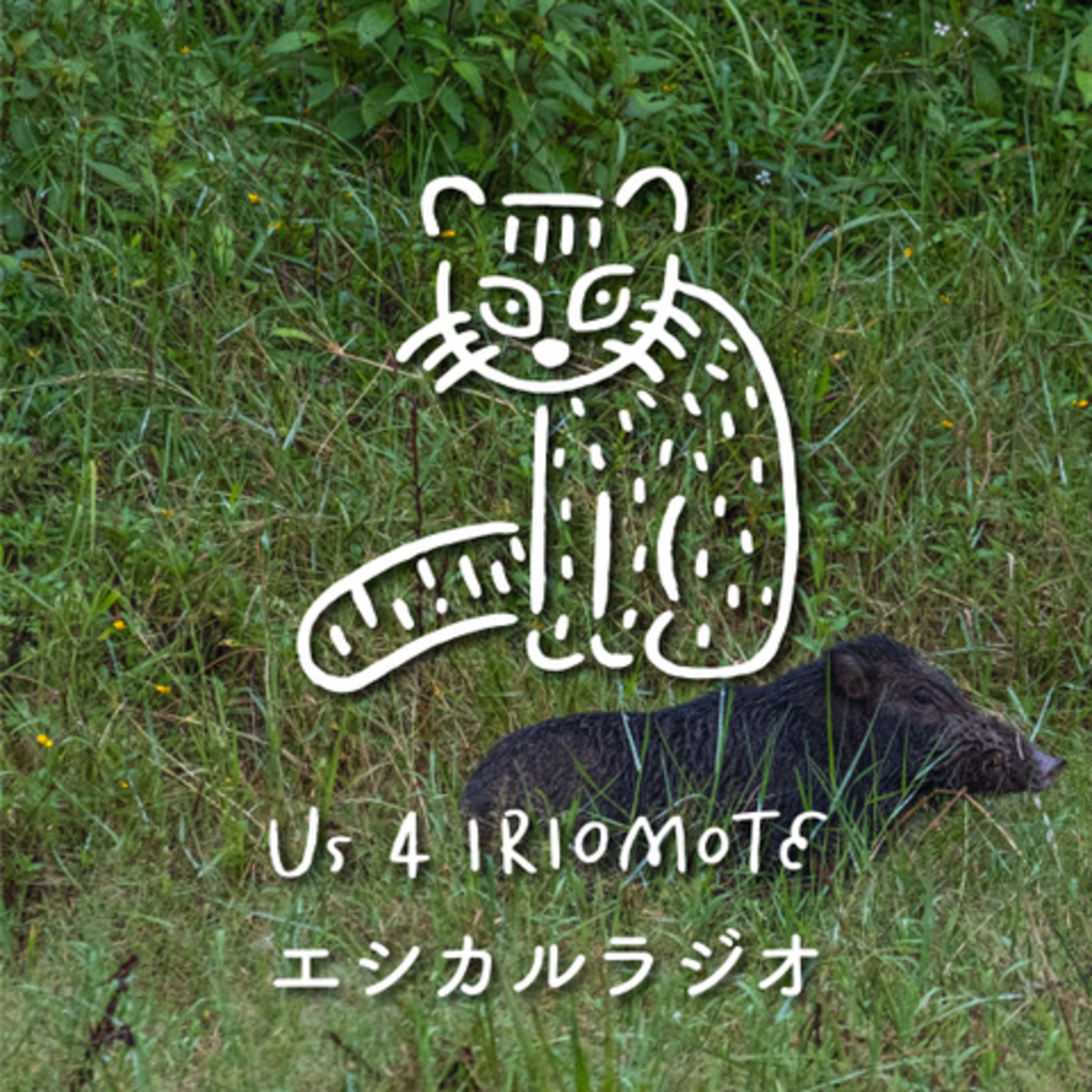 #16 島のごちそう episode artwork