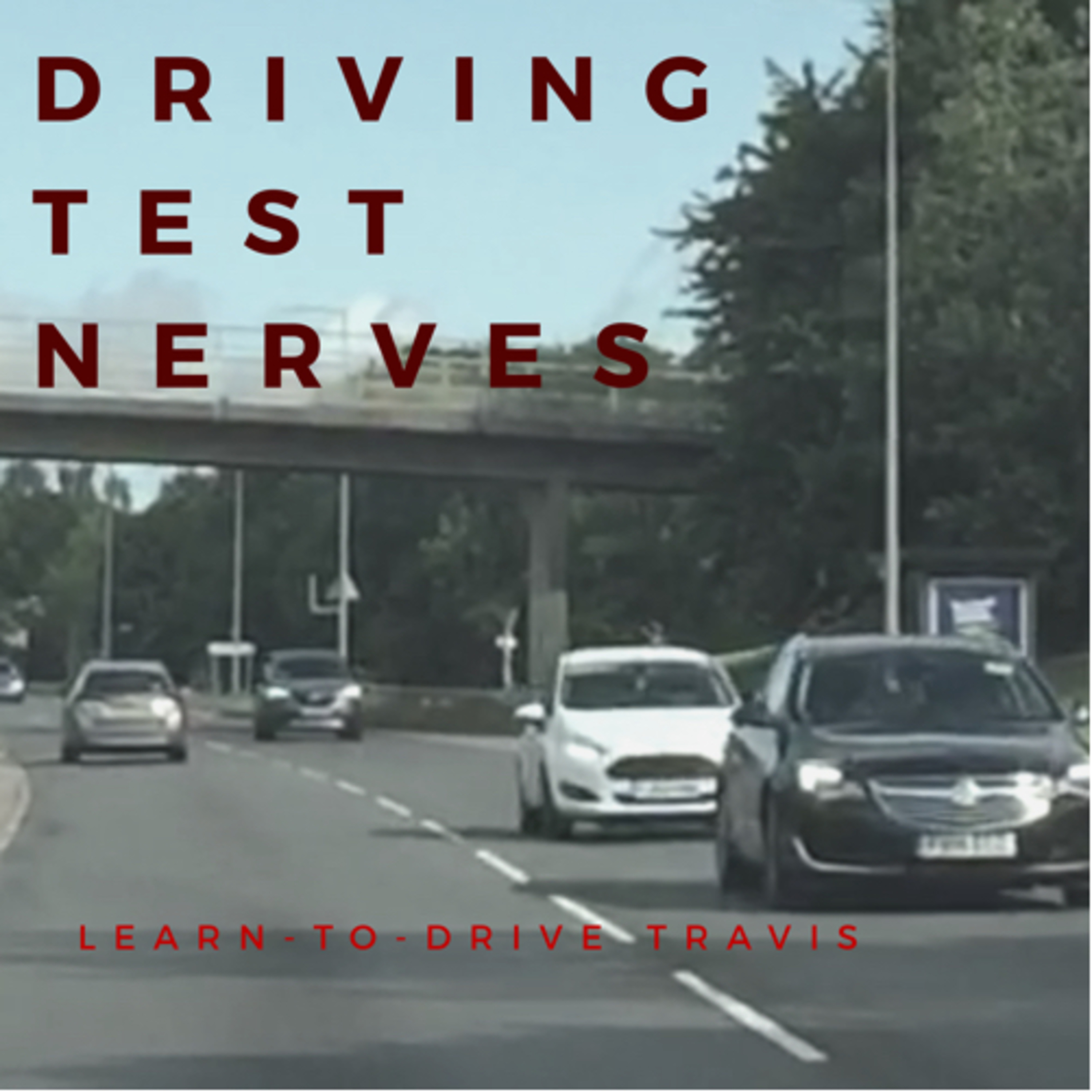 Learn to drive Travis
