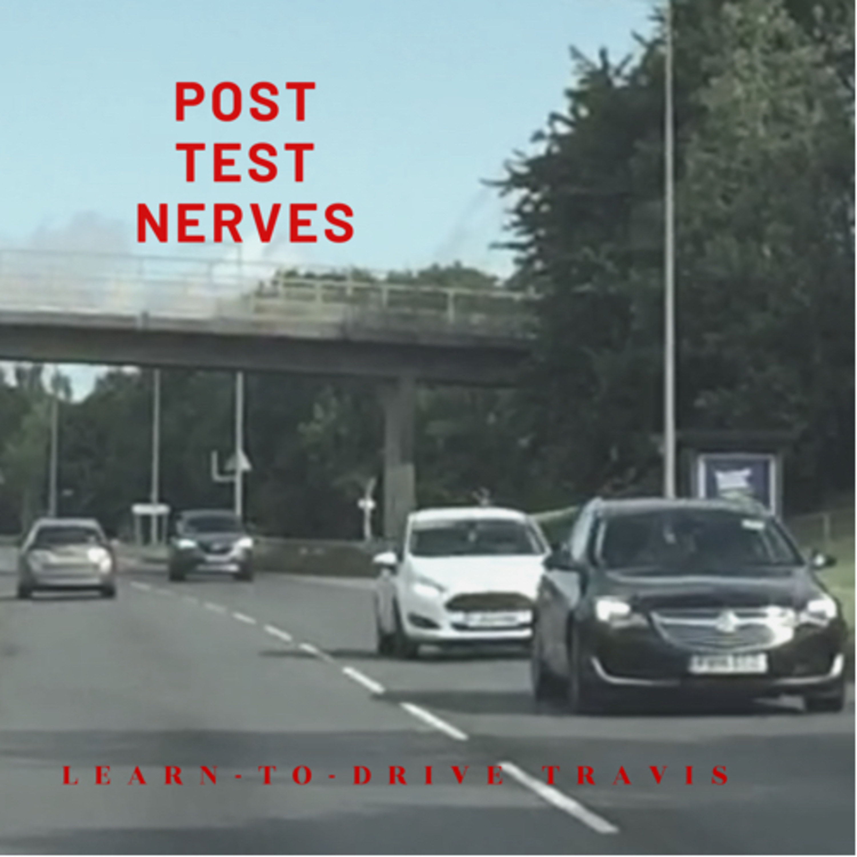 Learn to drive Travis