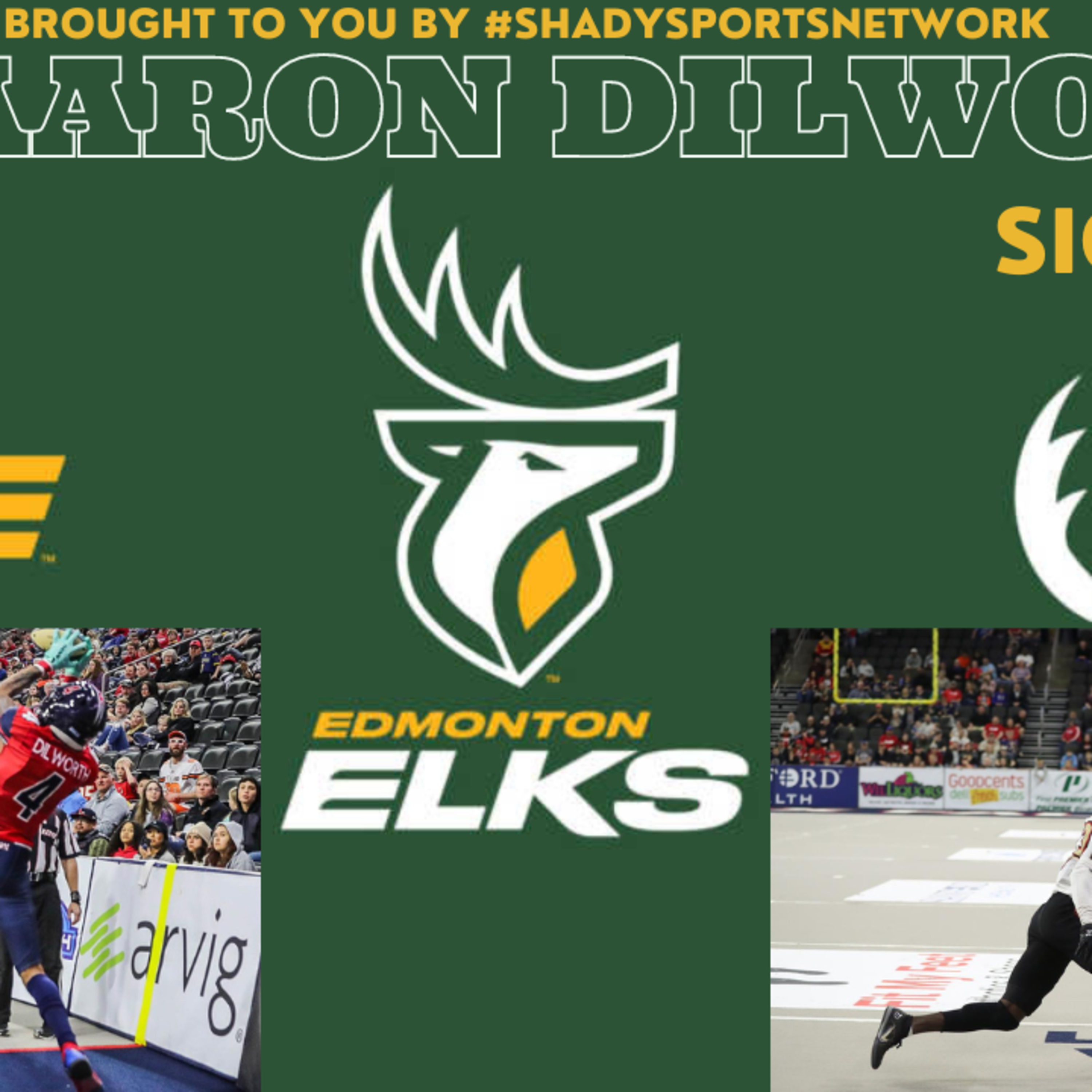 Shady Sports Network