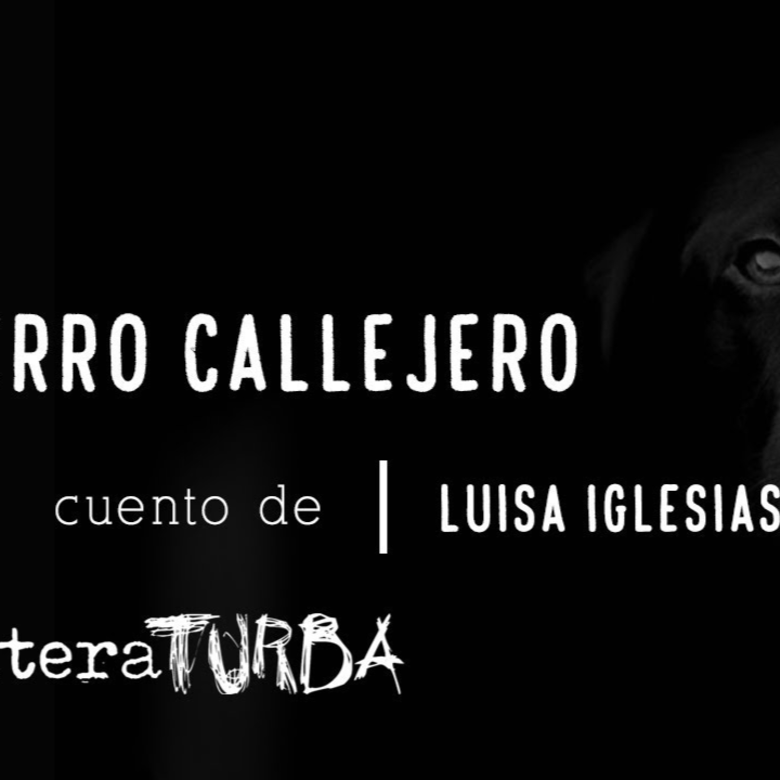 Literaturba