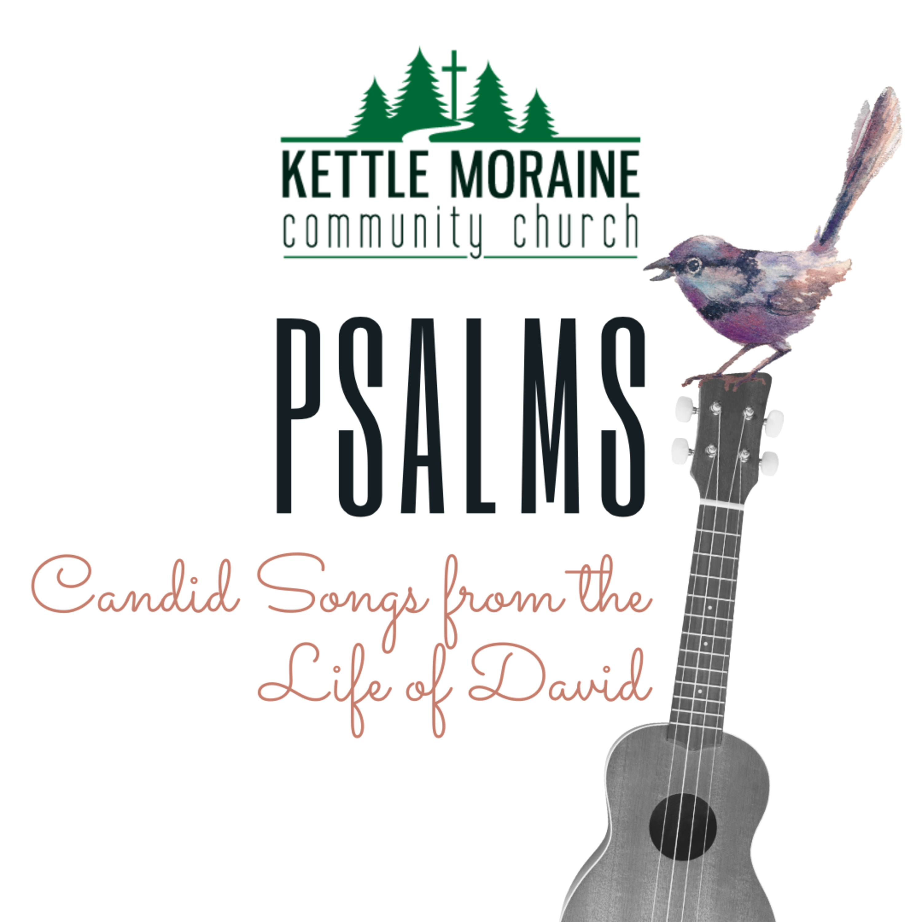 Psalms: God's Perfect Revelation