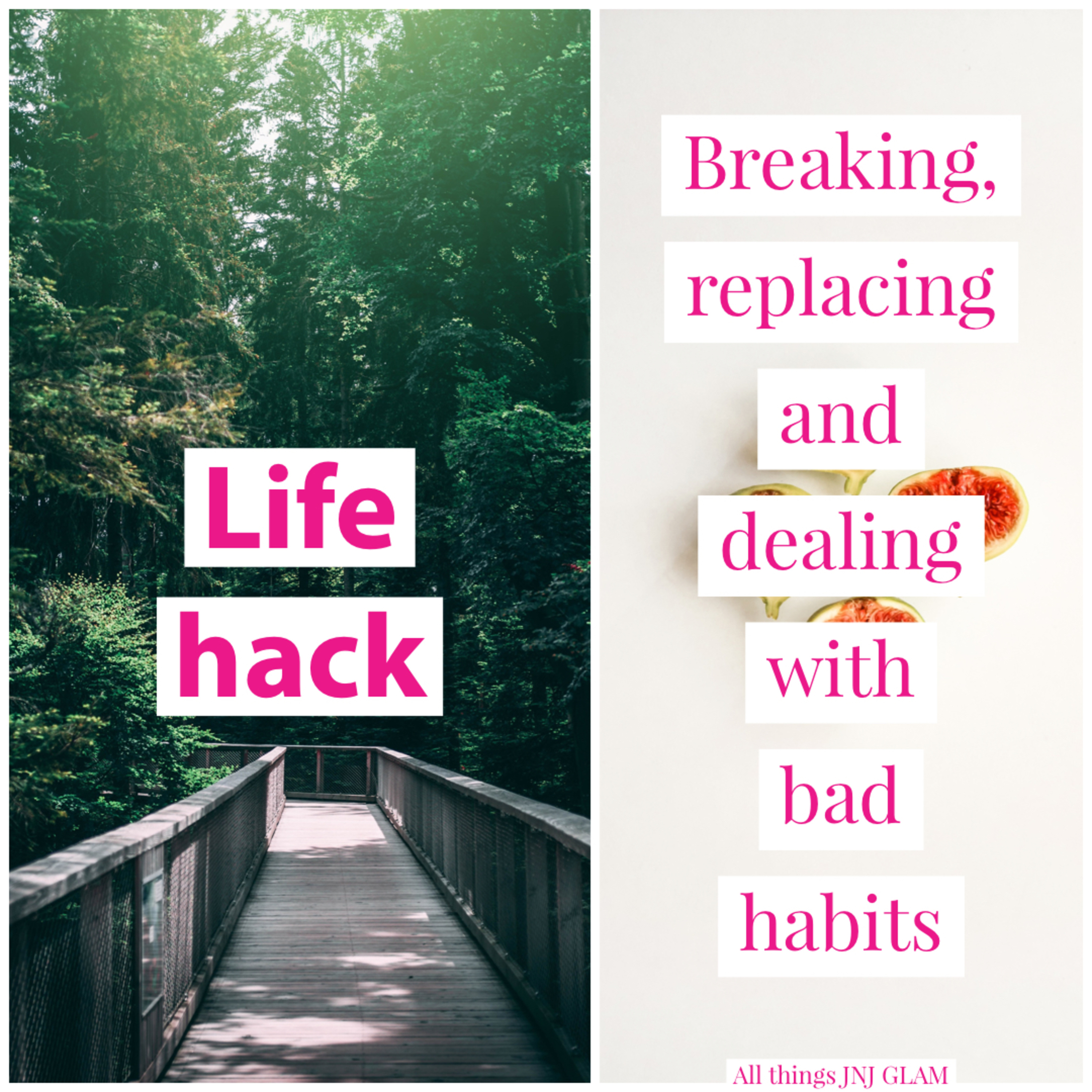 The self improvement station
