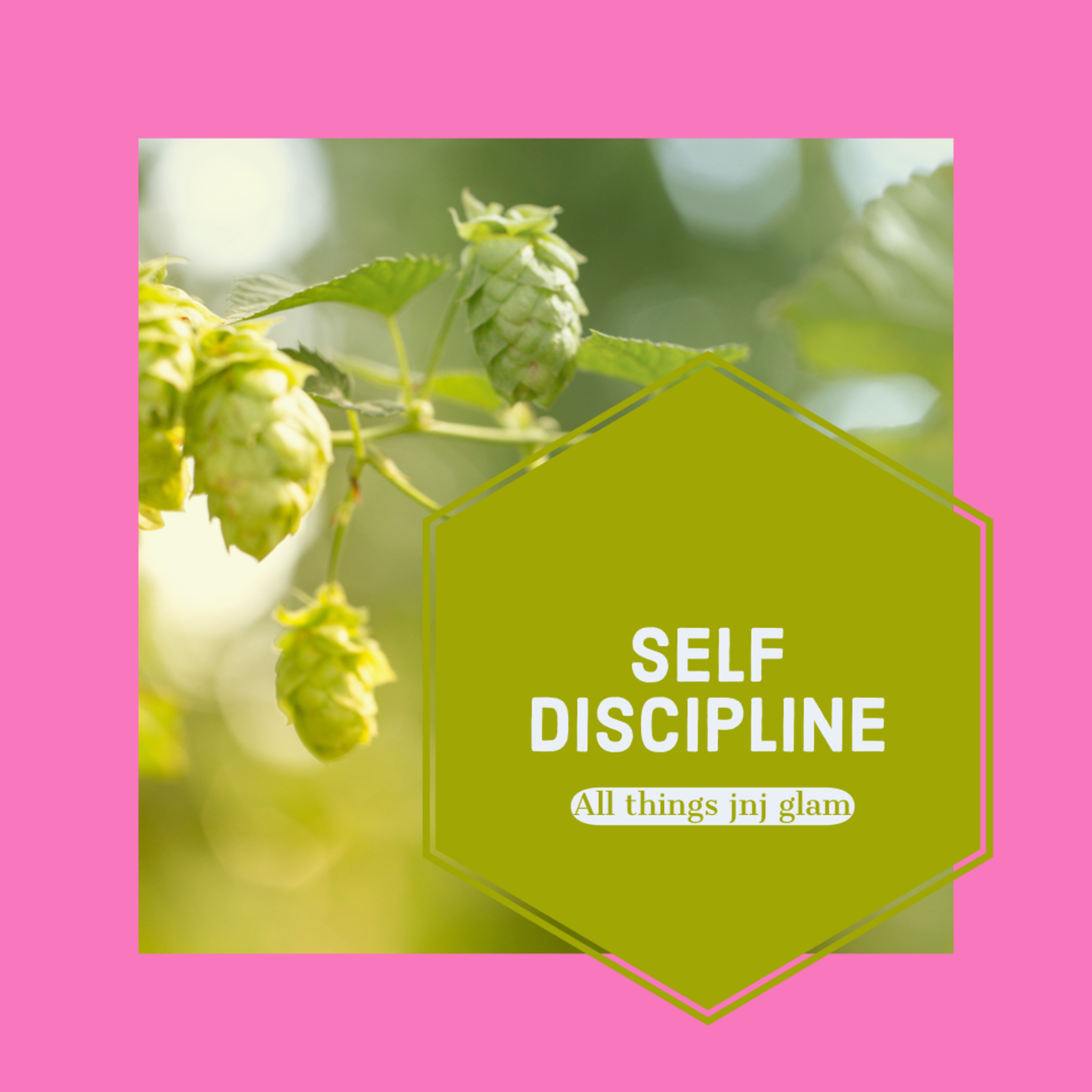 The self improvement station