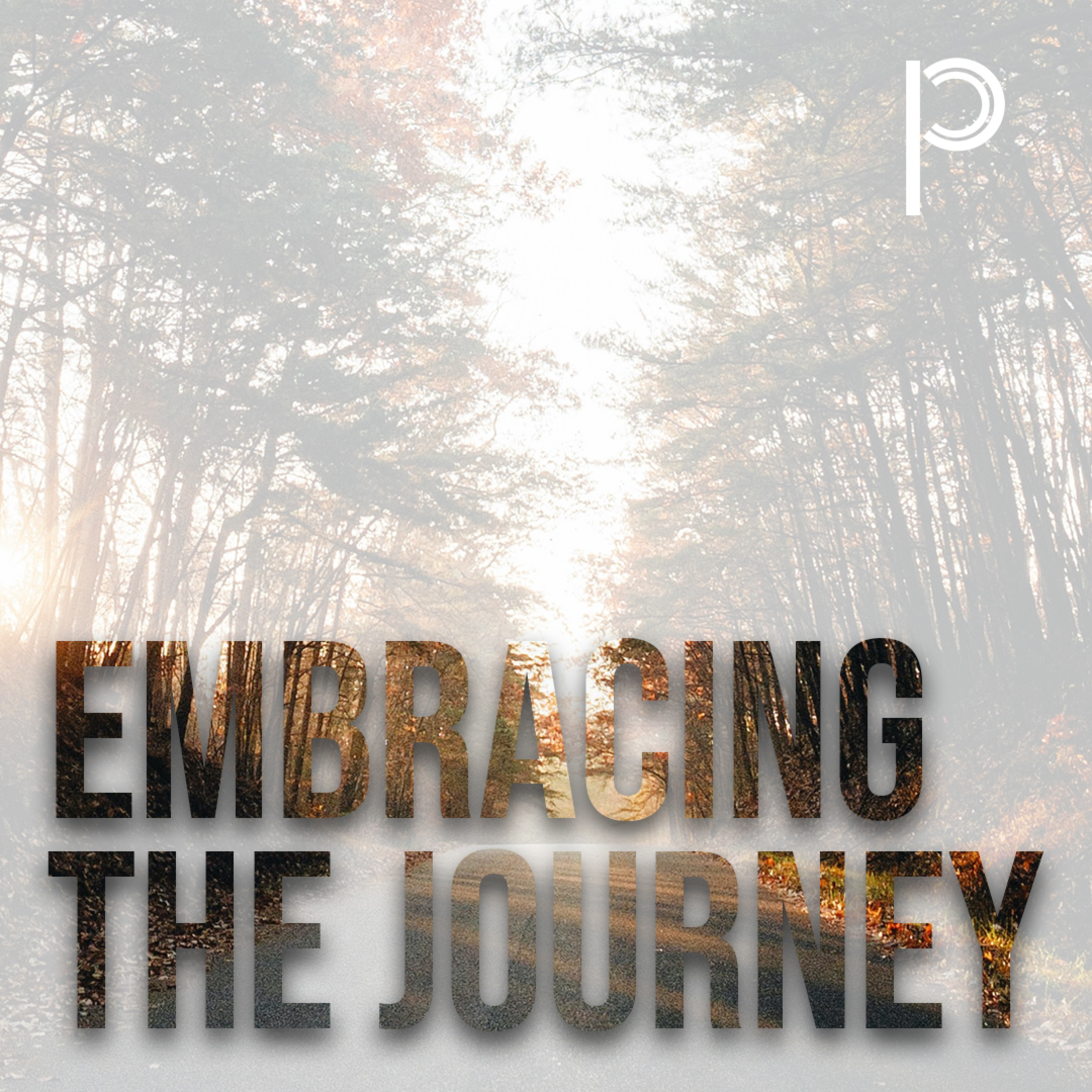 Embracing the Journey: Dig Towards the Root episode artwork