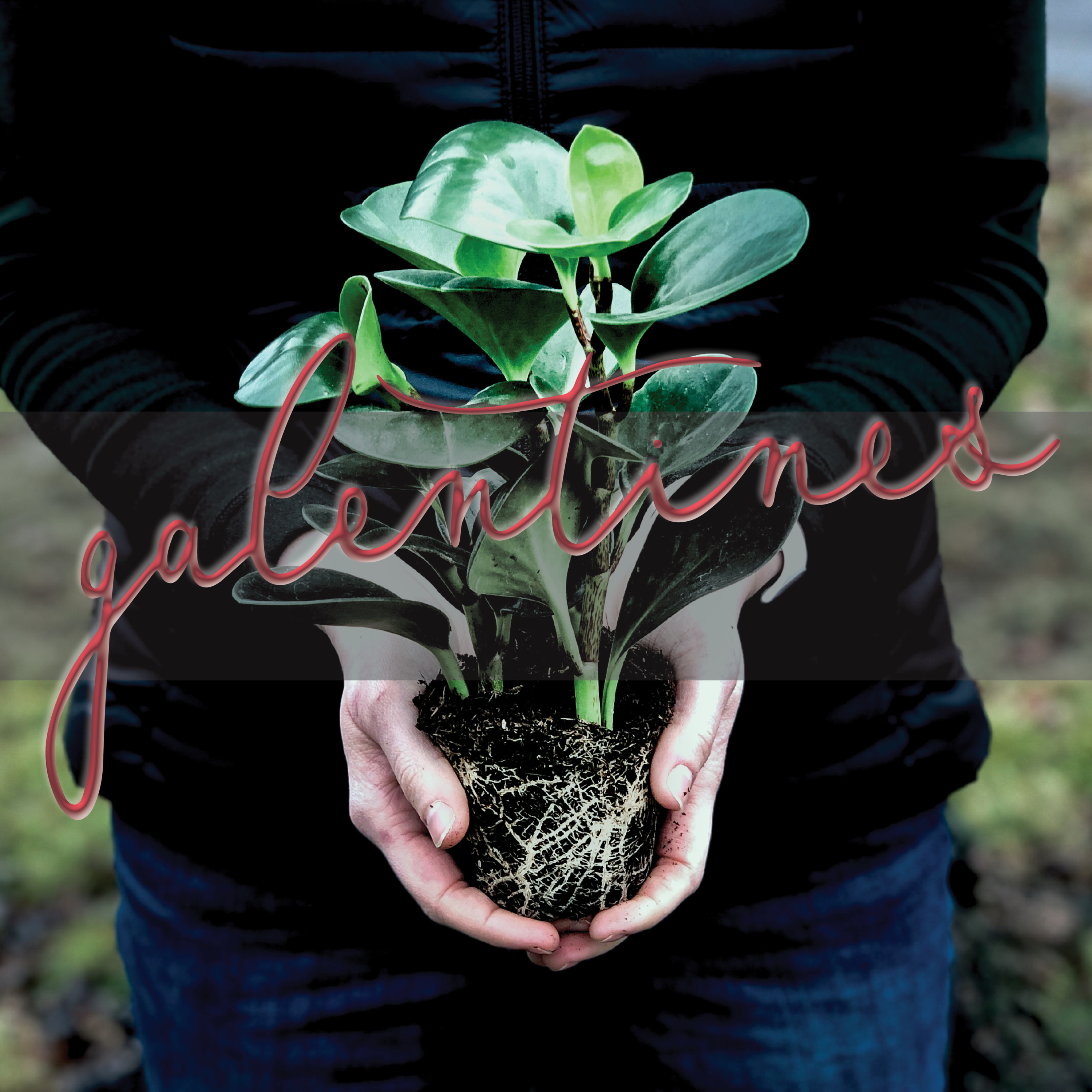 Flourish: Galentines 2021 - Terry Esquinance episode artwork