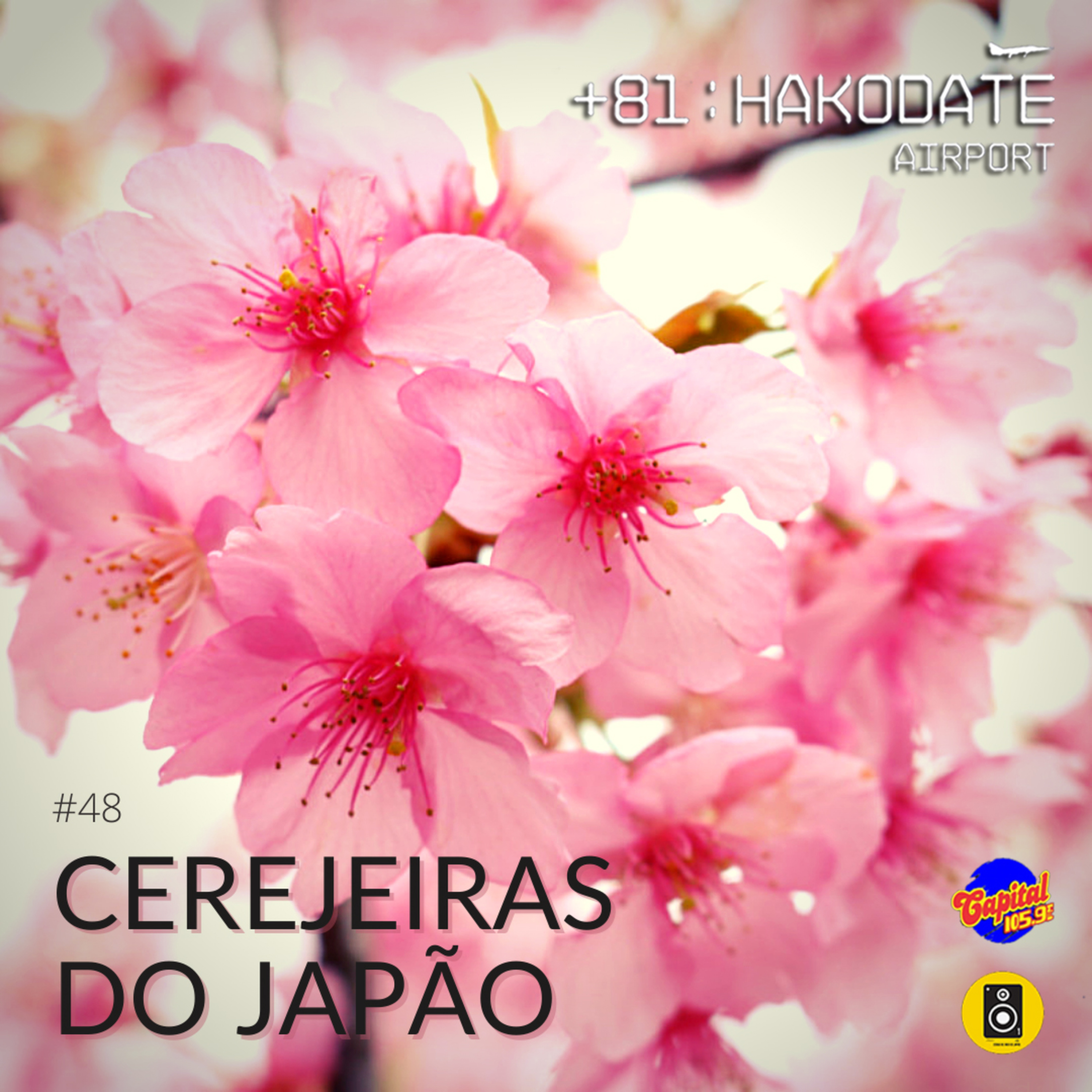 Plus81 - Código de Área do Japão