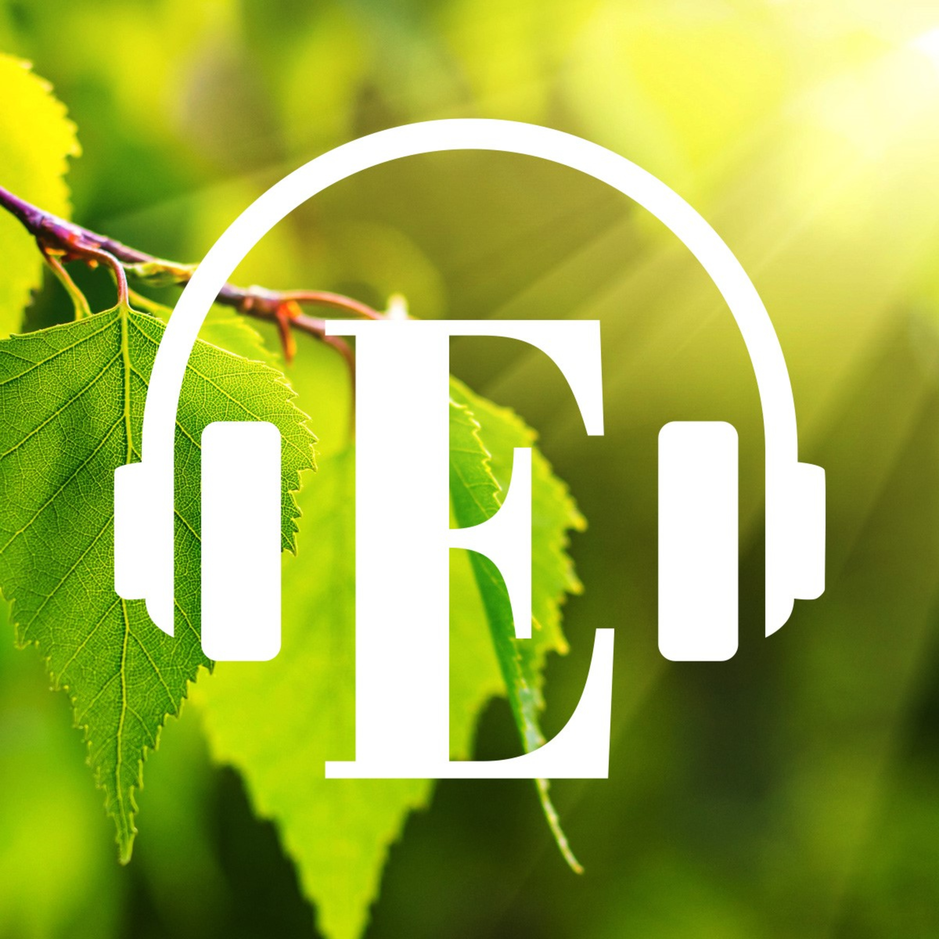 The Nordic Investor Podcast