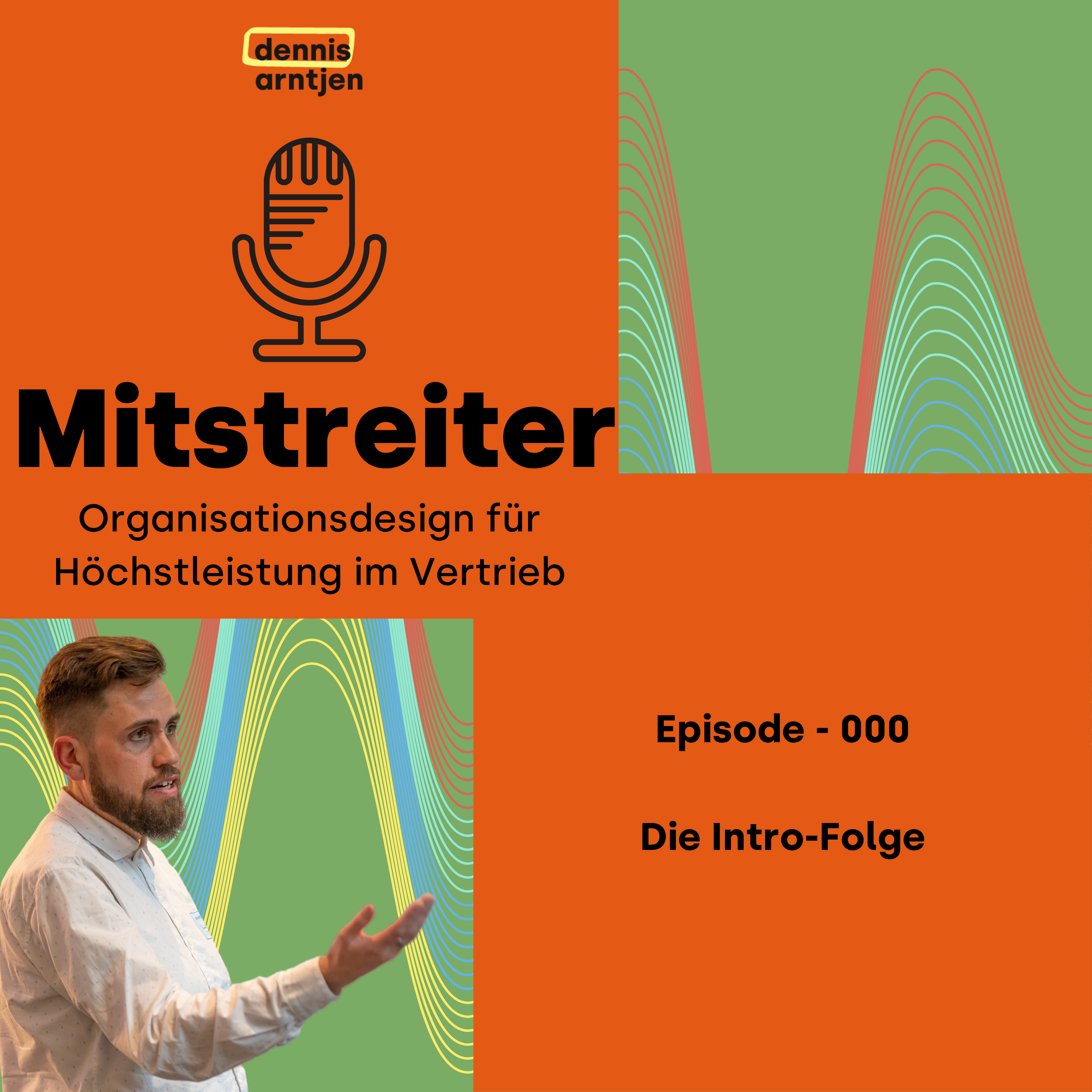 Mitstreiter - Organisationsdesign für Höchstleistung im Vertrieb