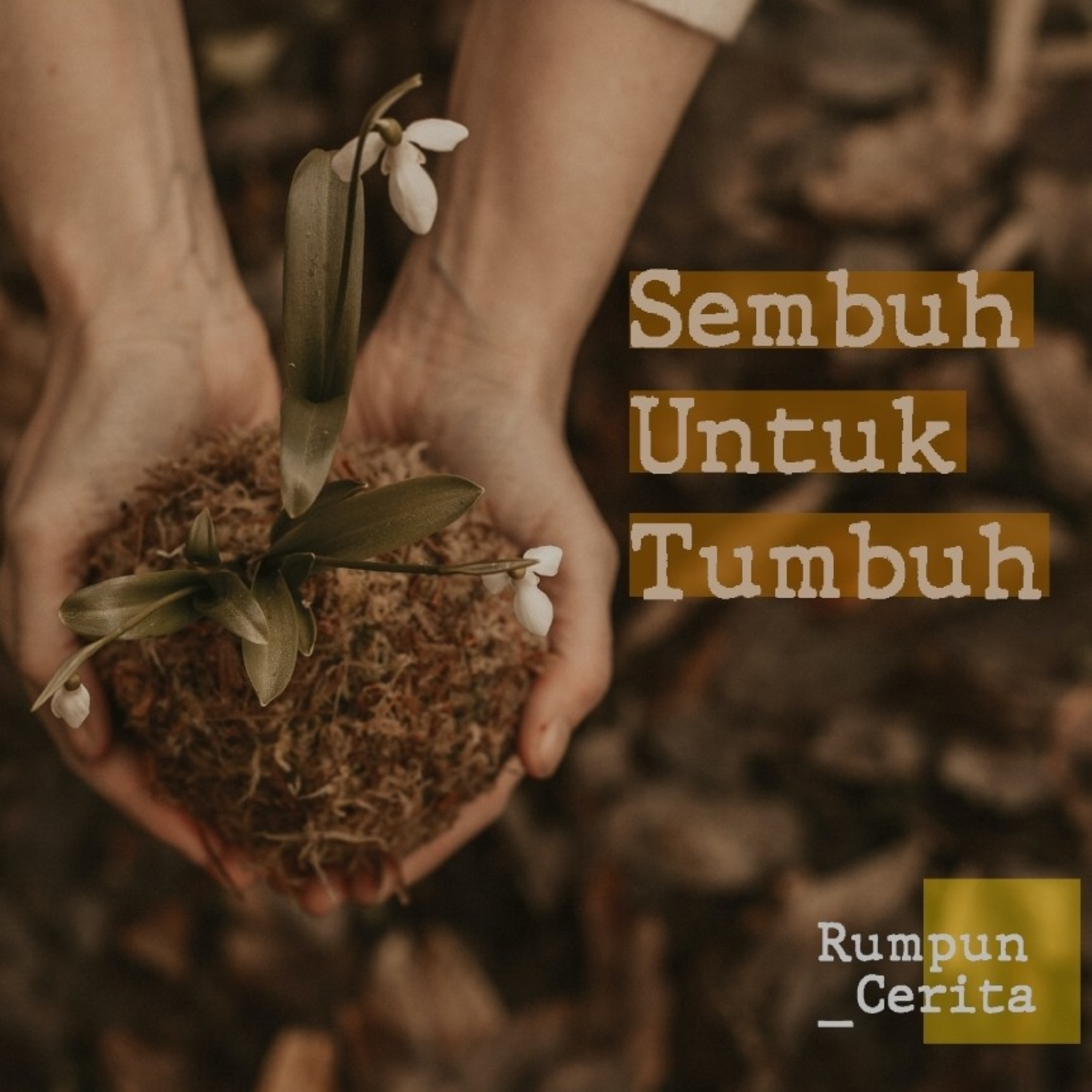 Rumpun Cerita