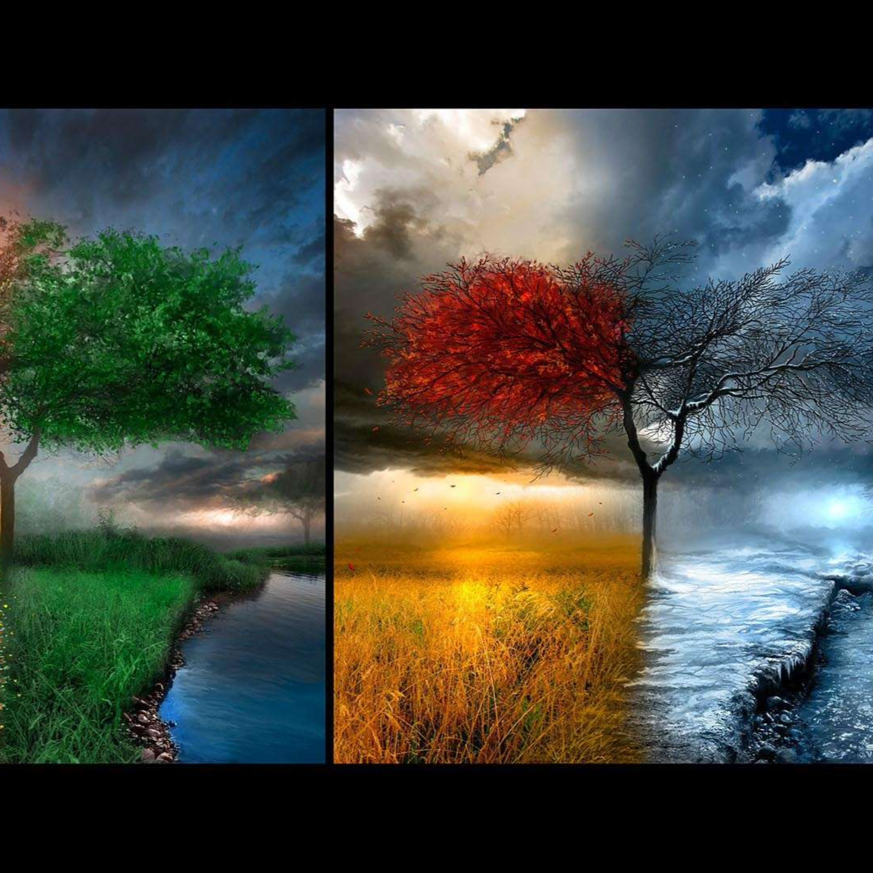 کاور زنگ خطر - مخصوص این روز ها