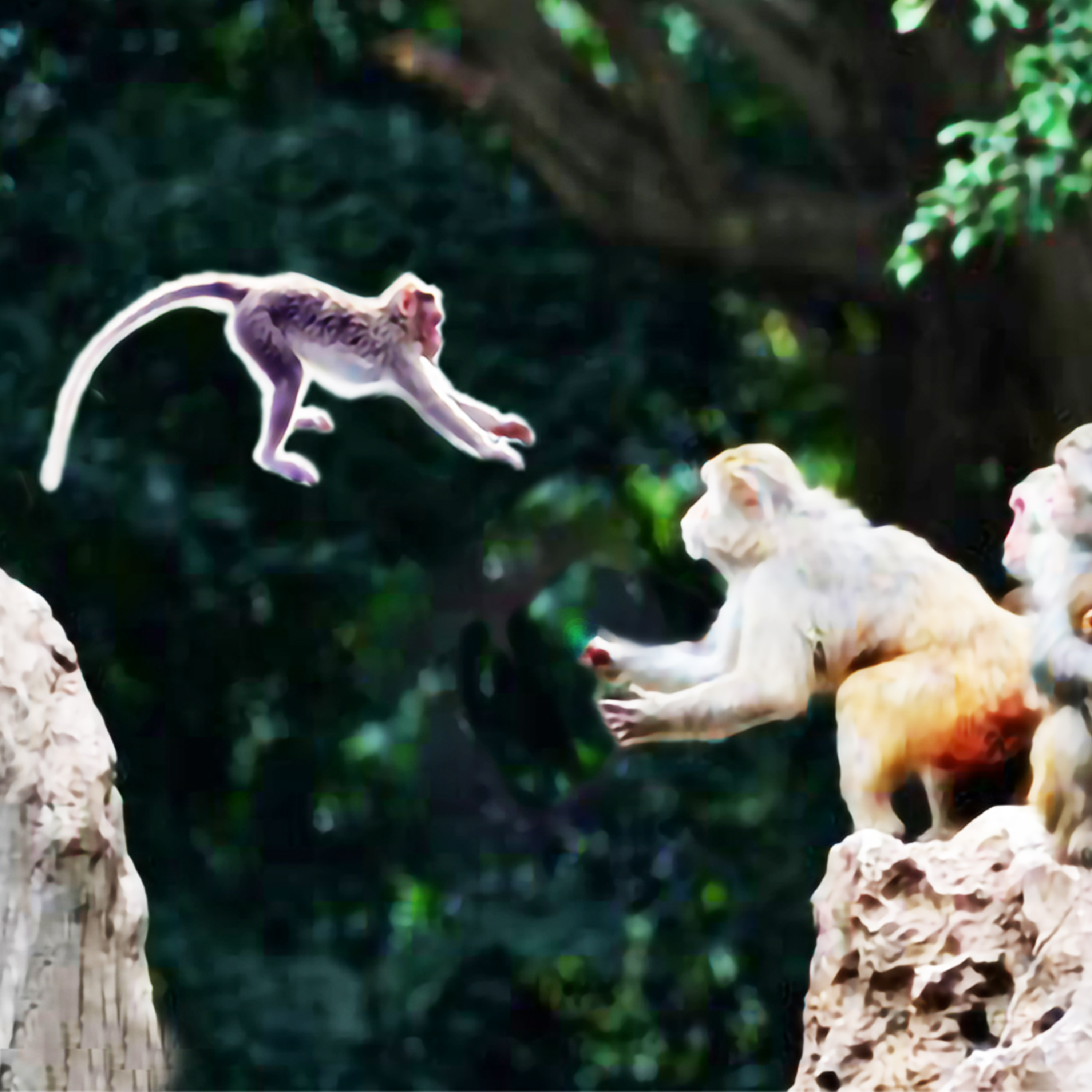 Wild Chats
