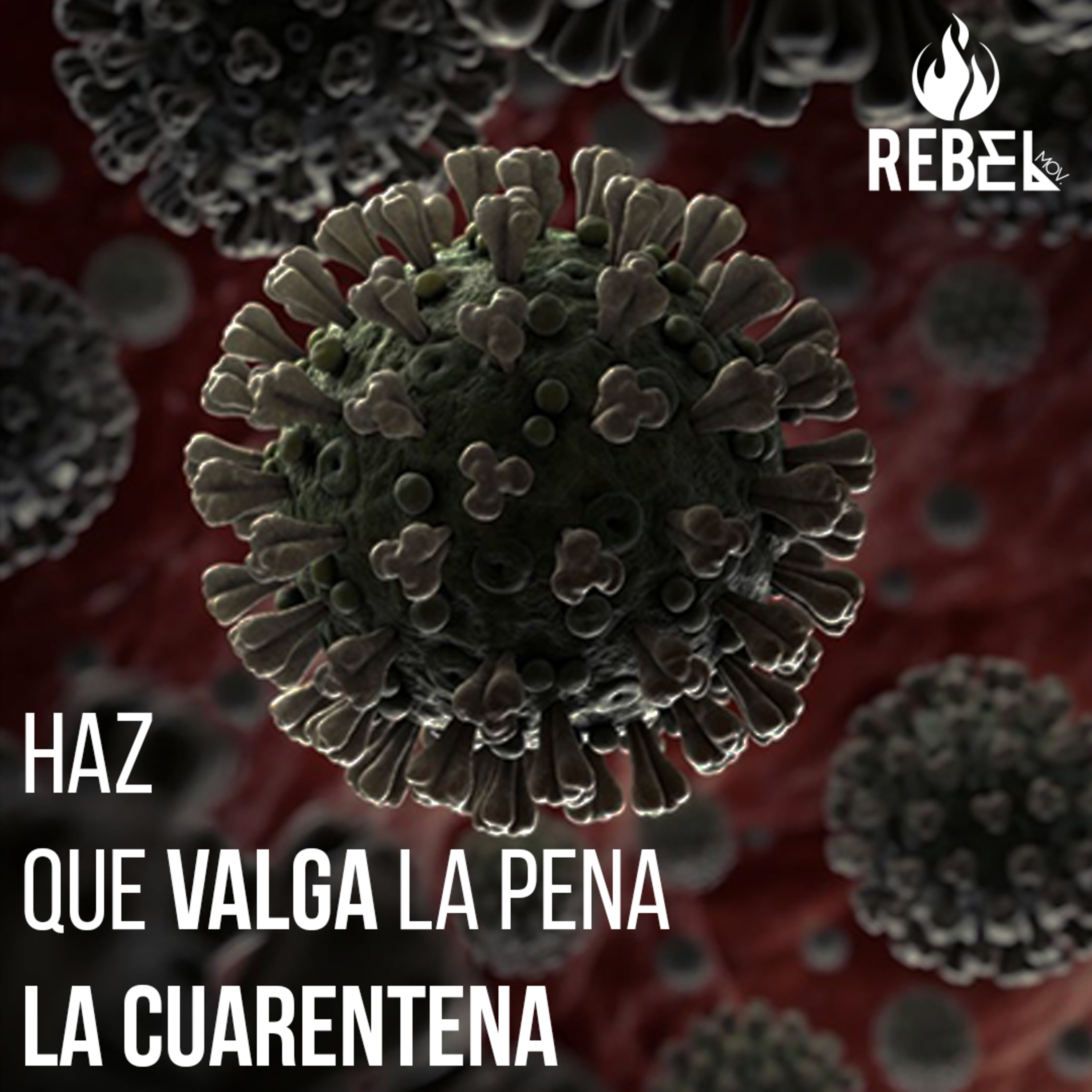 Rebel Movimiento