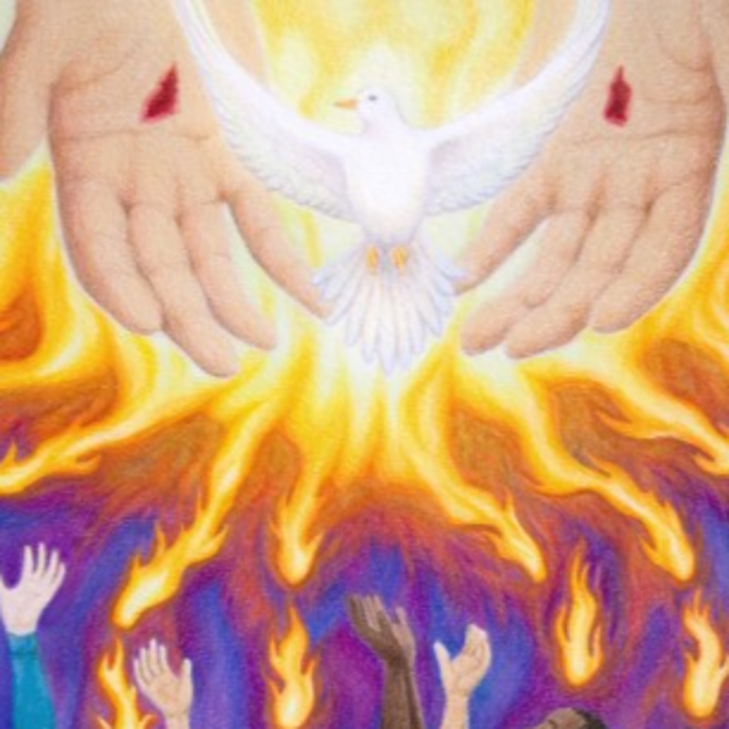 Dr Paul Collins Shares on Miracles. 10/07/2018 episode artwork