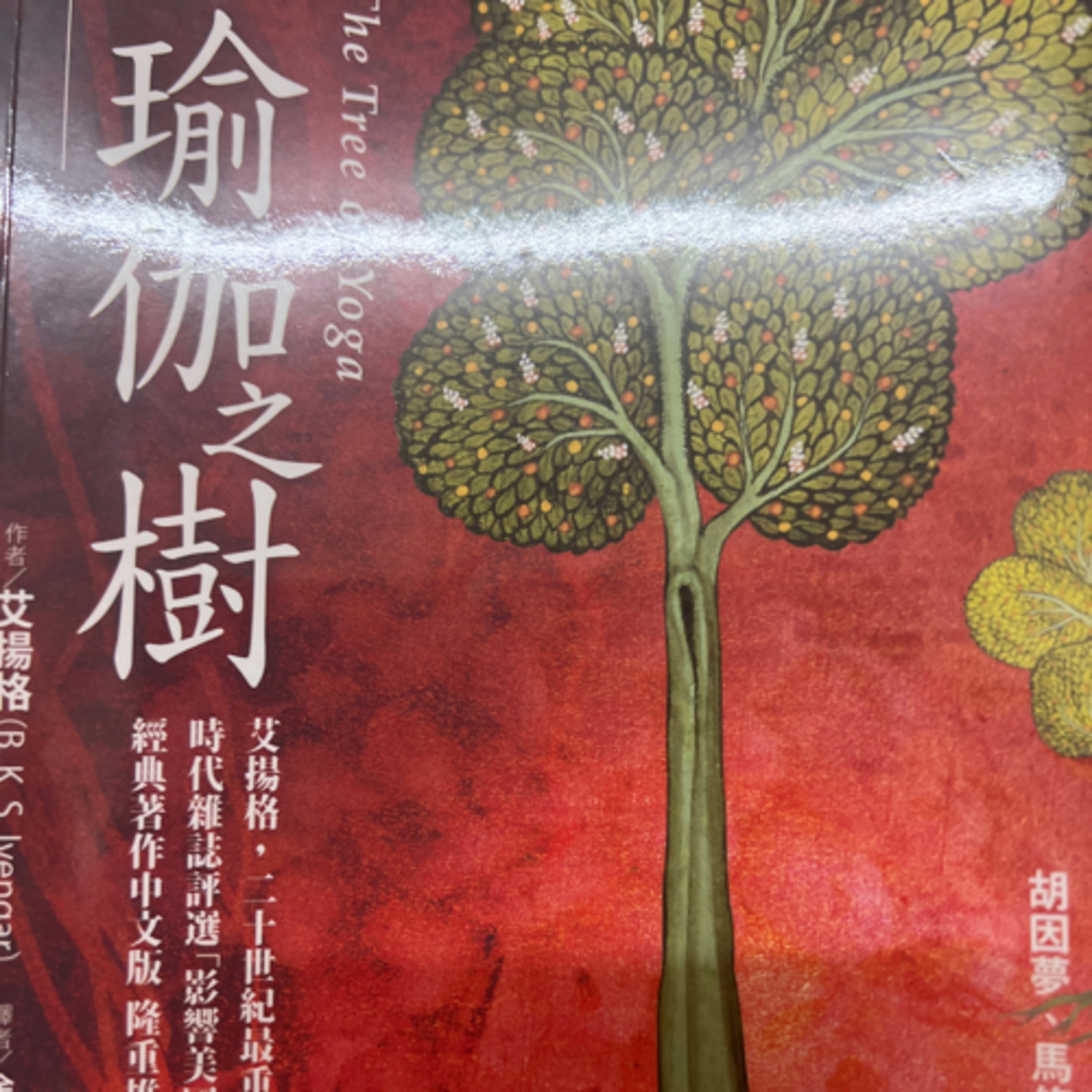 瑜珈之樹1161 episode artwork