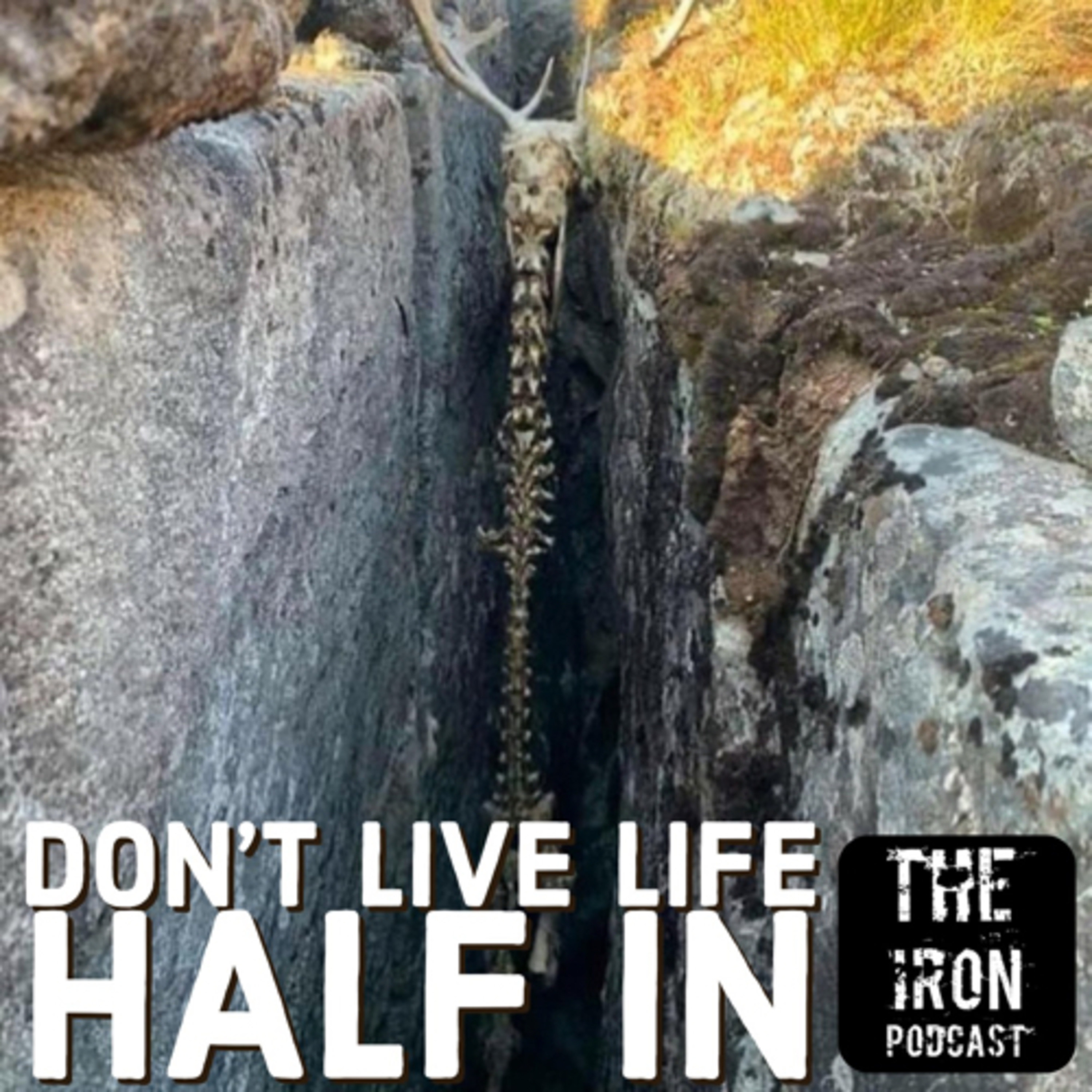Don’t live life half in! episode artwork