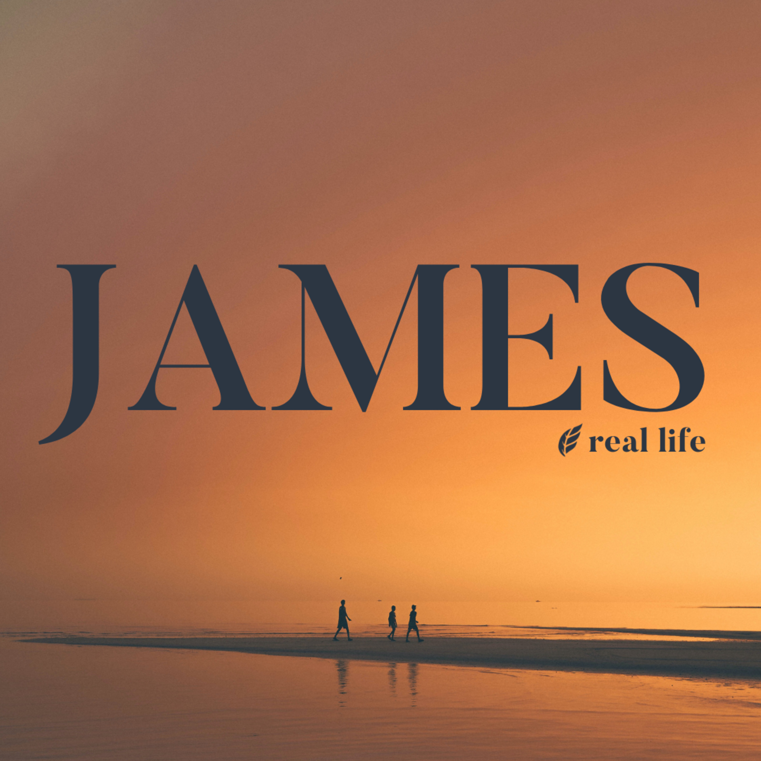 Real Life Ministries Podcast