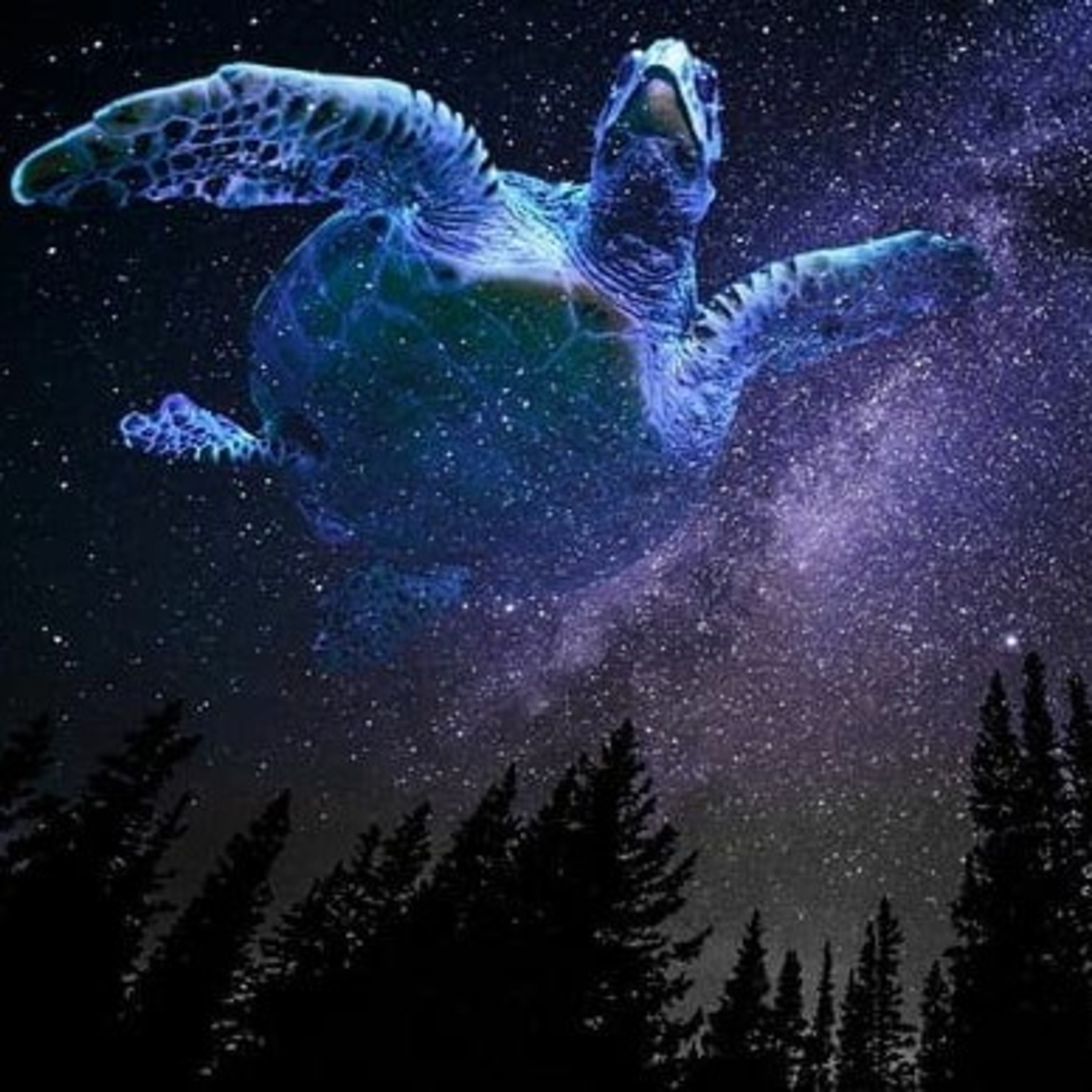 UniverSol Wisdom Official