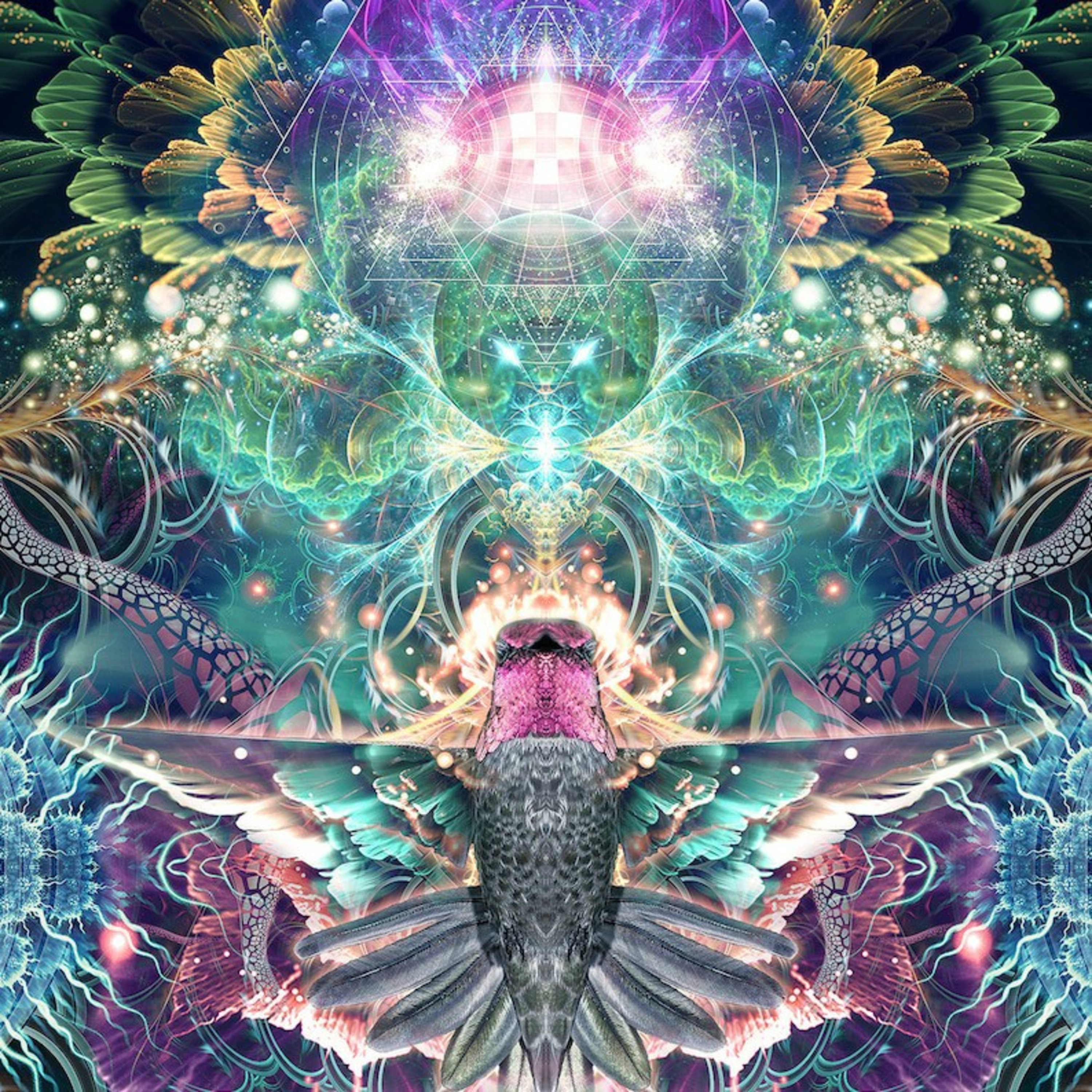 UniverSol Wisdom Official