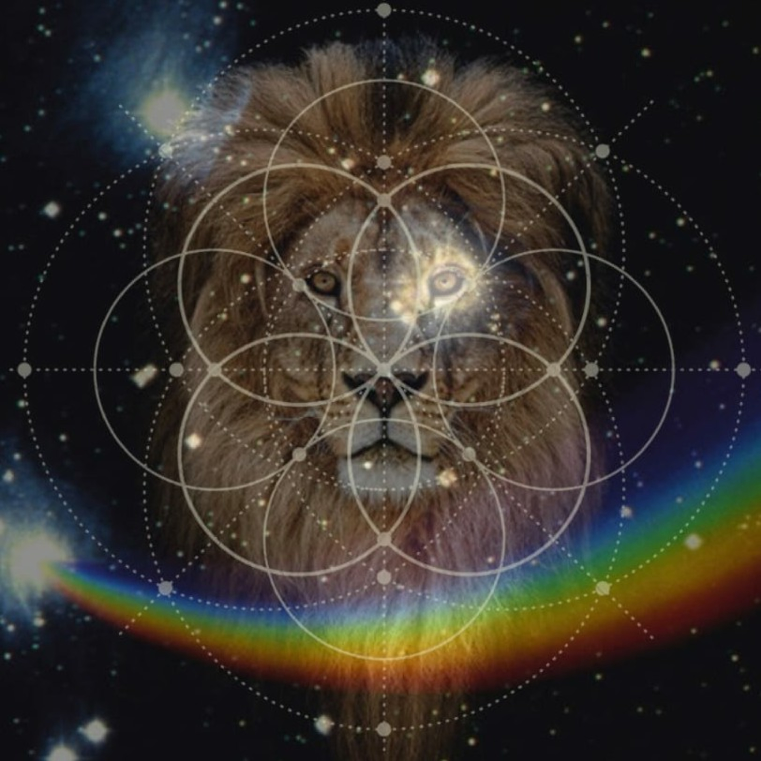 UniverSol Wisdom Official
