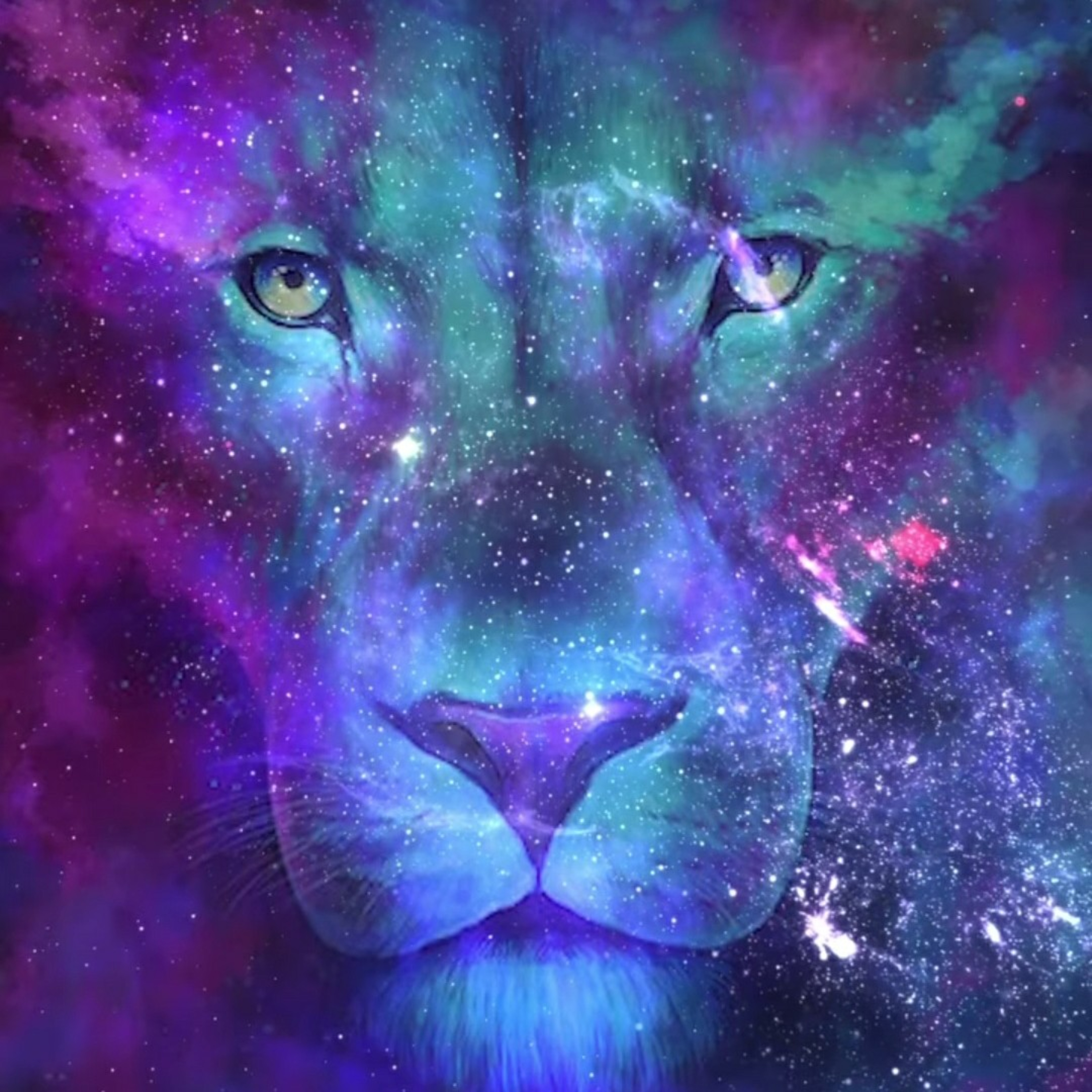 UniverSol Wisdom Official