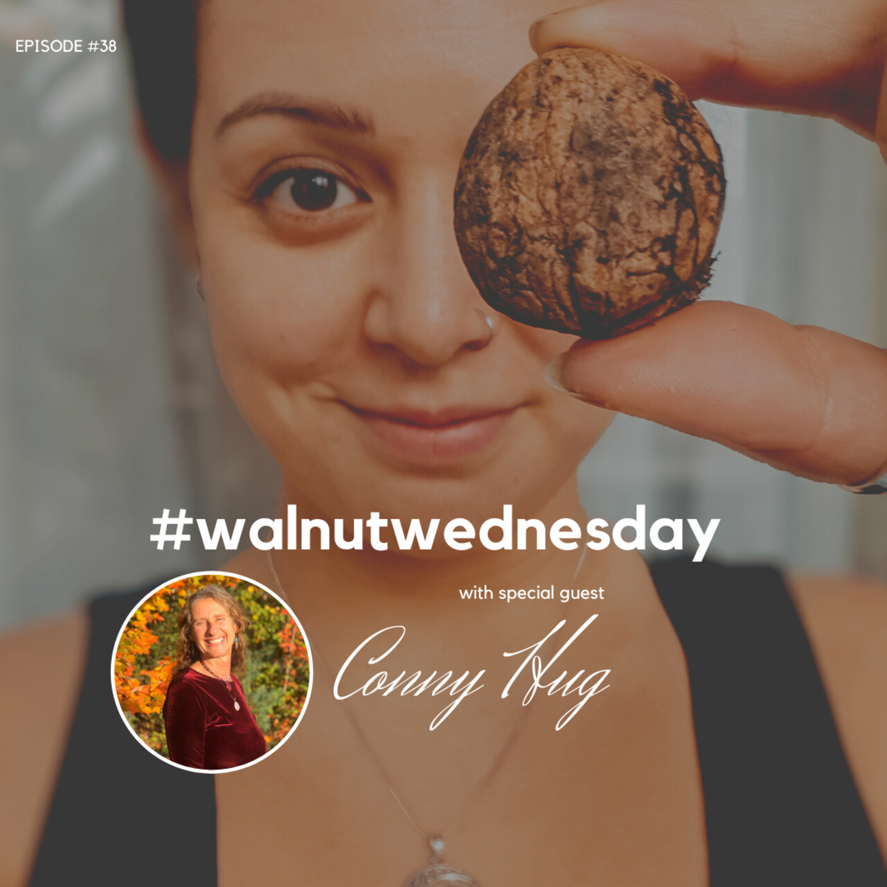 Walnut Wednesday