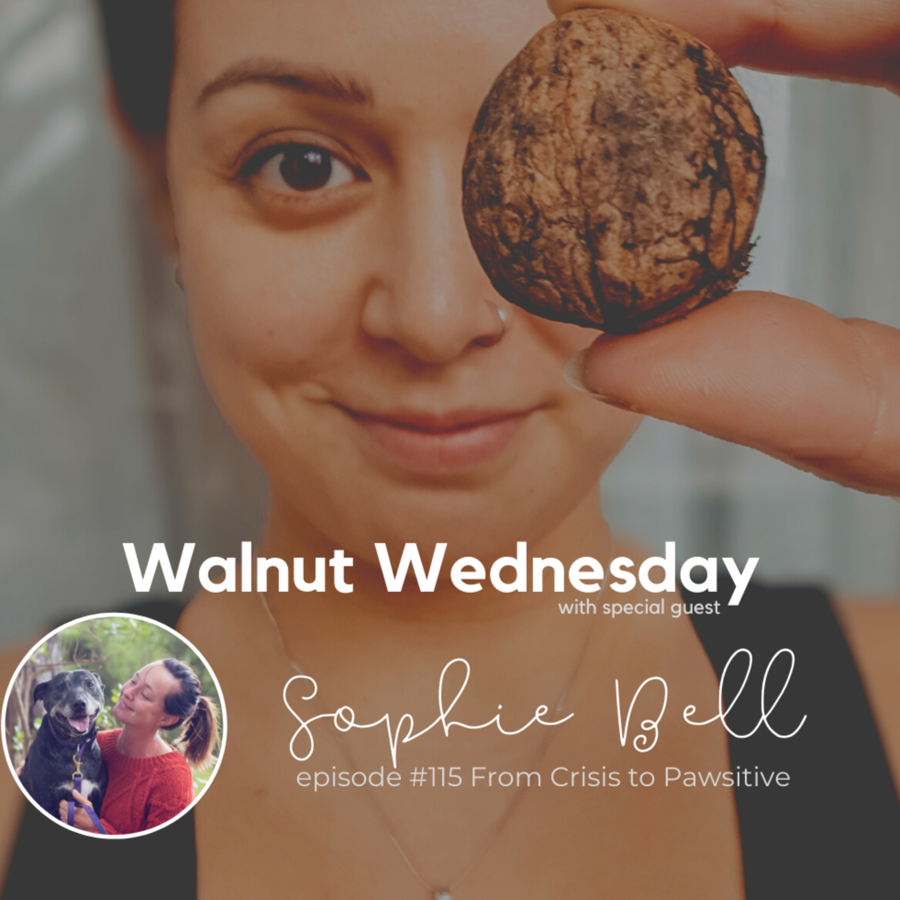 Walnut Wednesday
