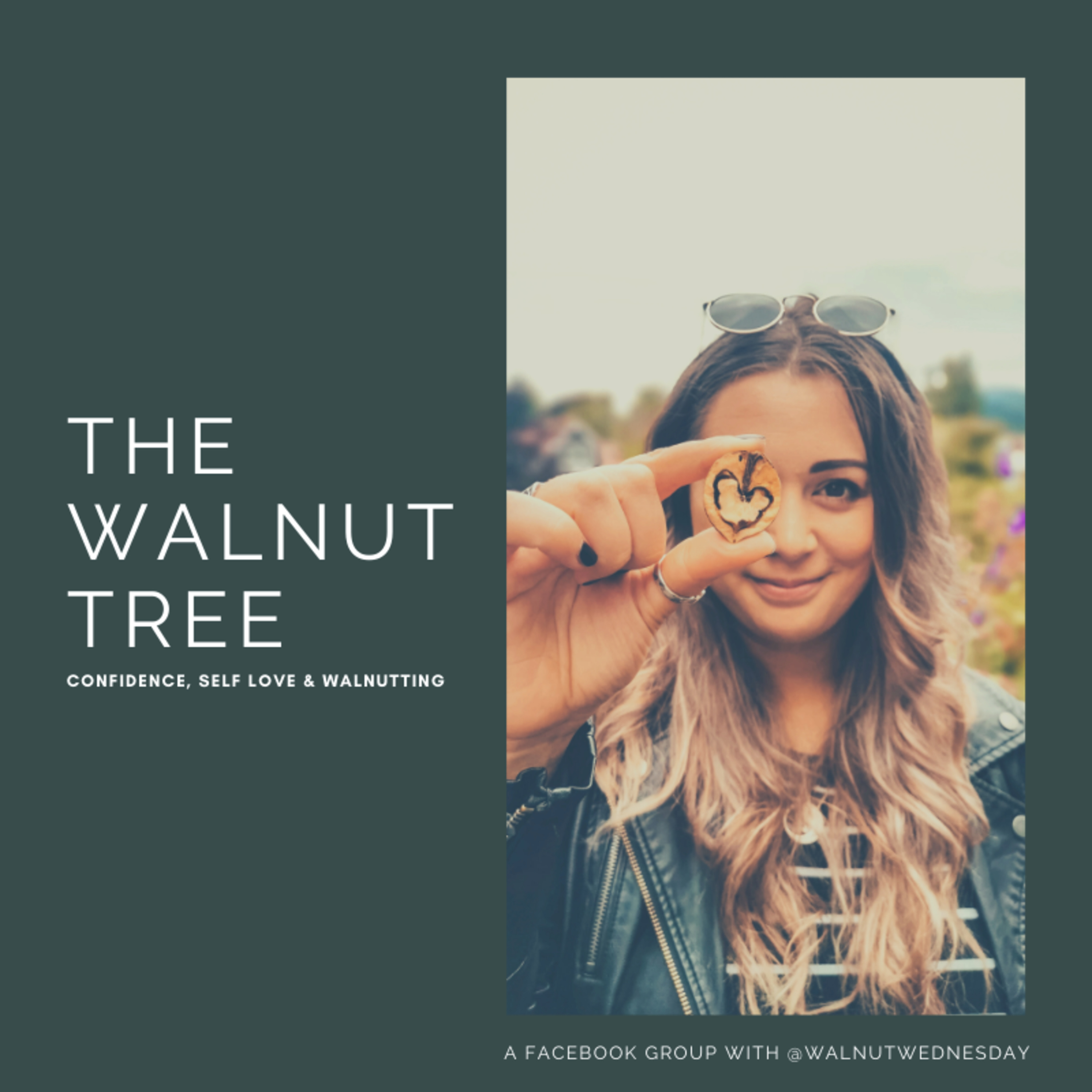 BONUS EPISODE Walnut Q&A: Thoughts on "The Silly Season" episode artwork