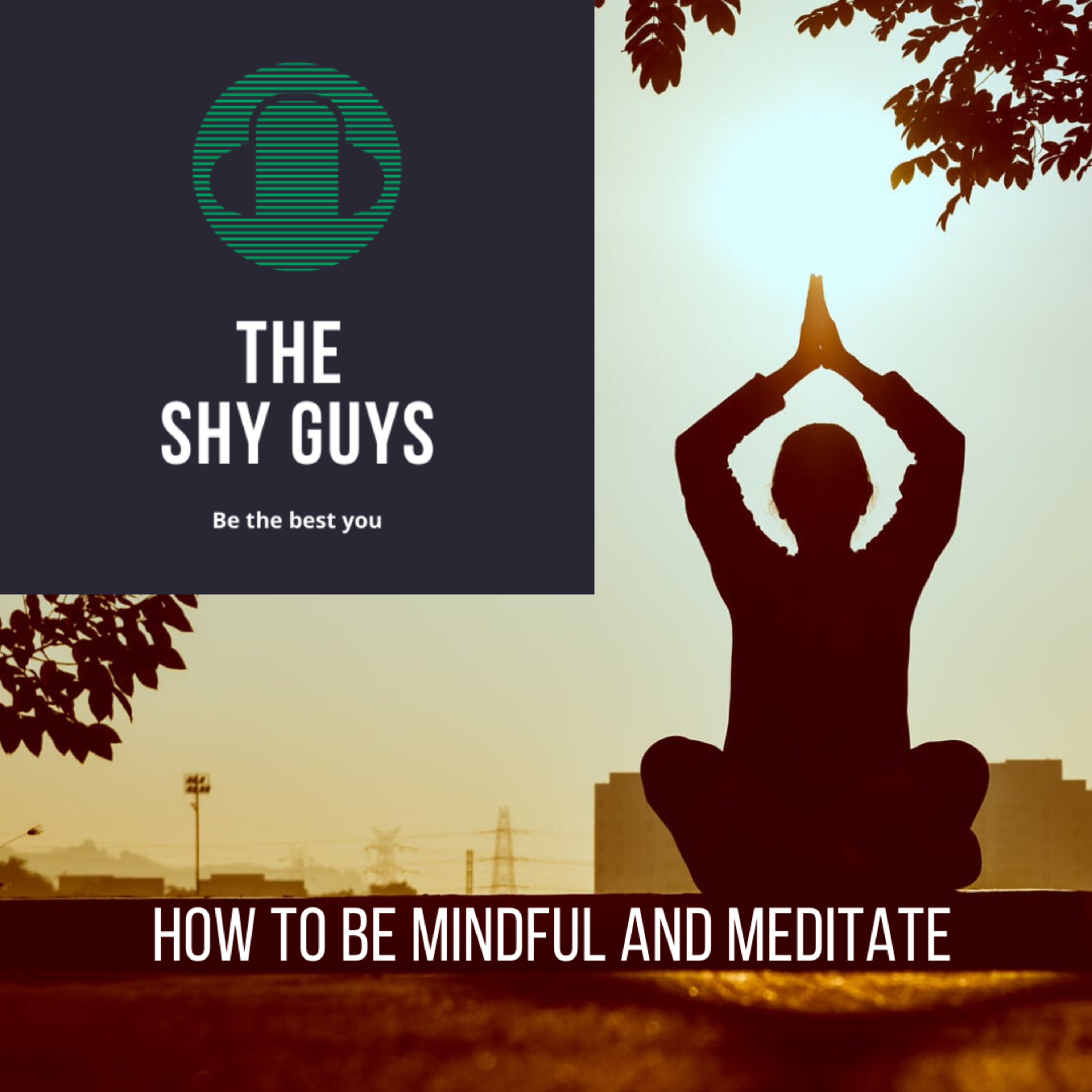 The Shy Guys