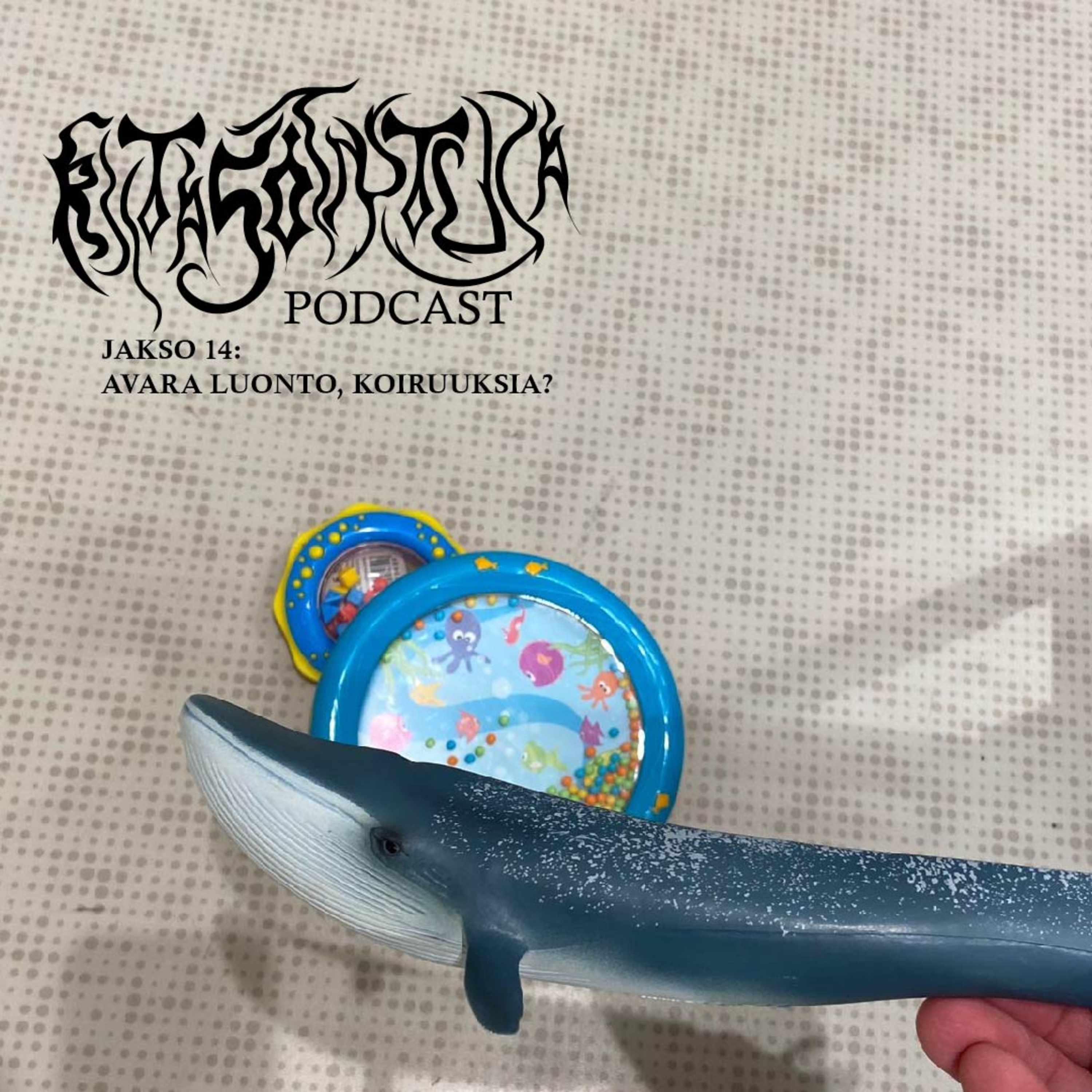 Riitaso1ntuja Podcast