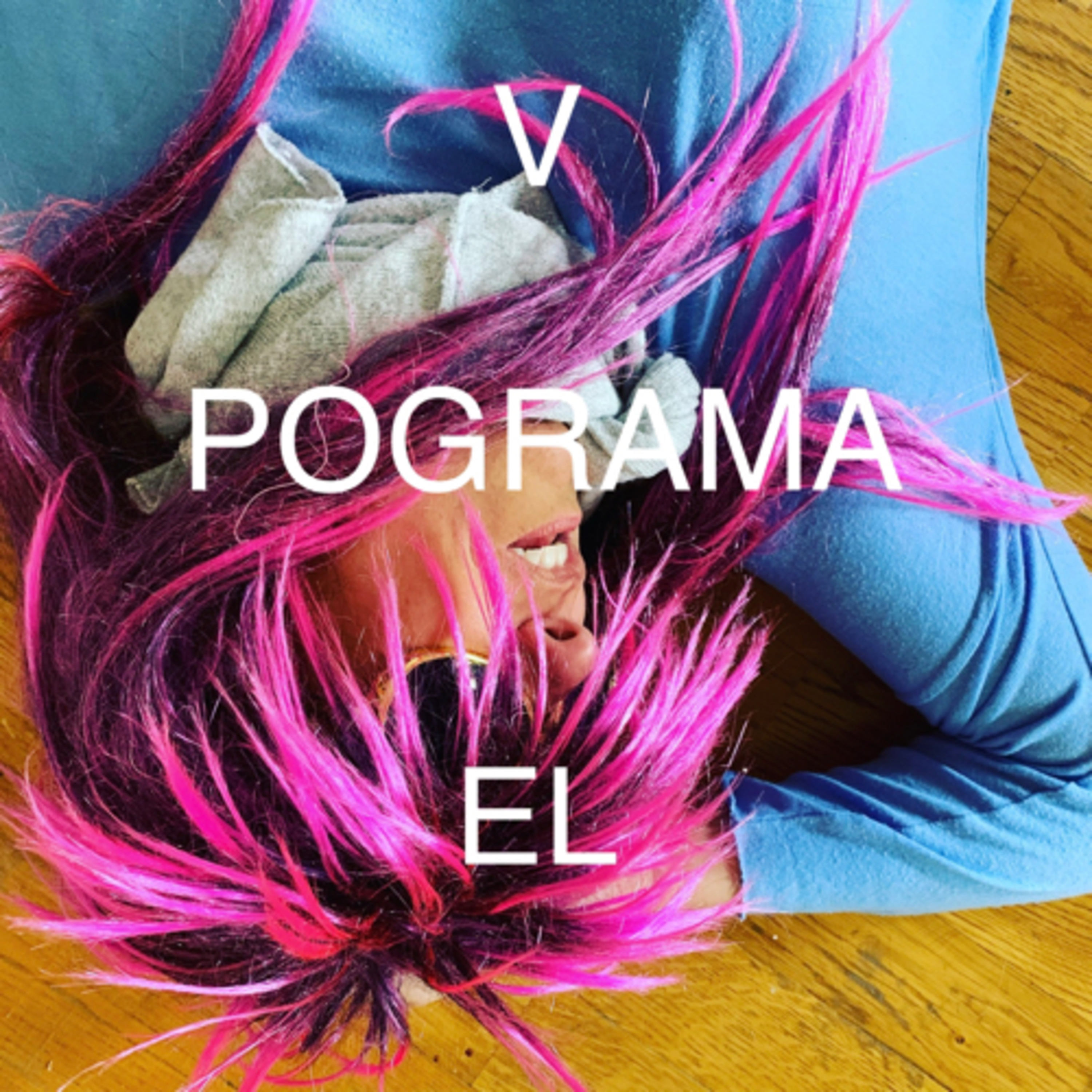 EL POGRAMA V episode artwork