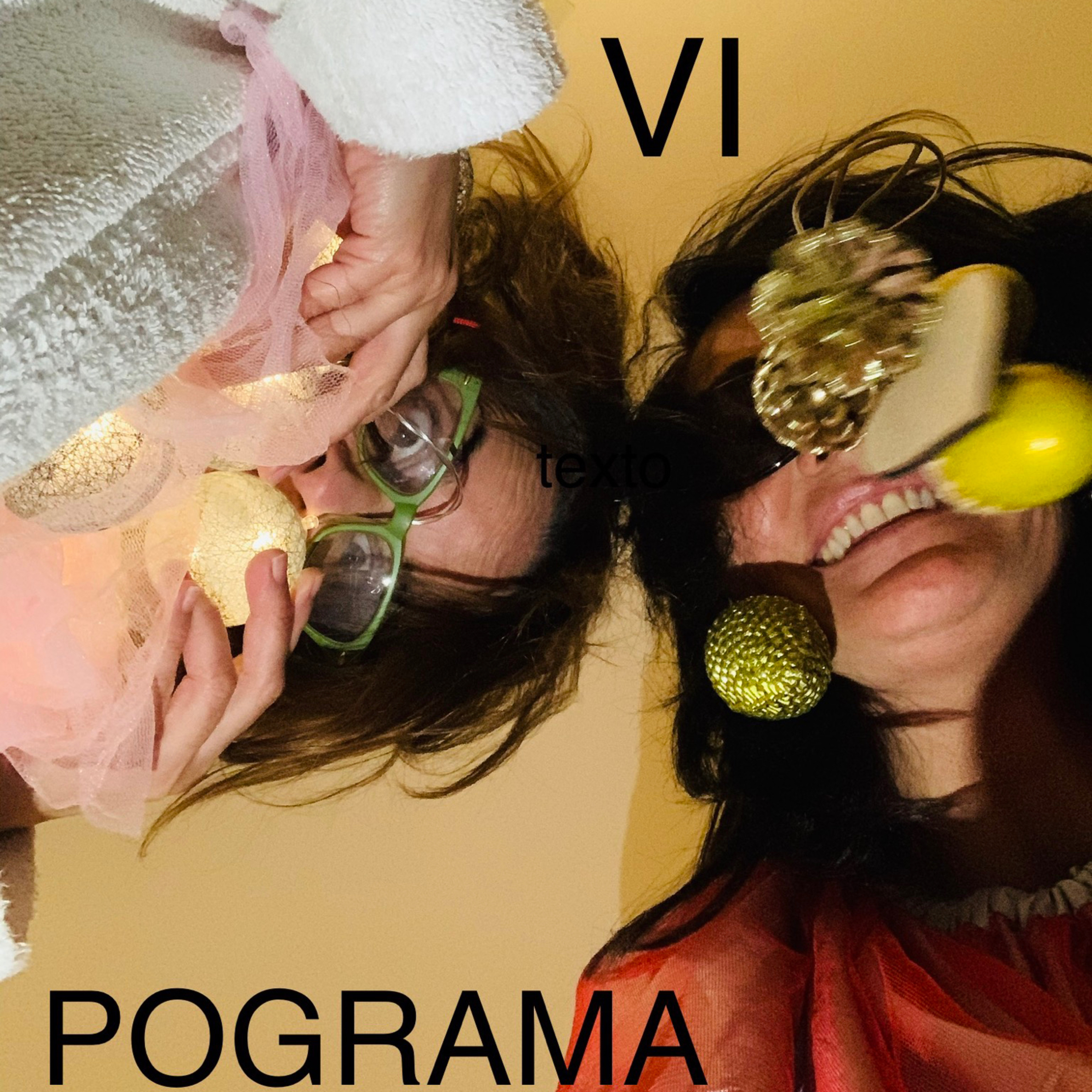 EL POGRAMA VI (26/12/10) episode artwork