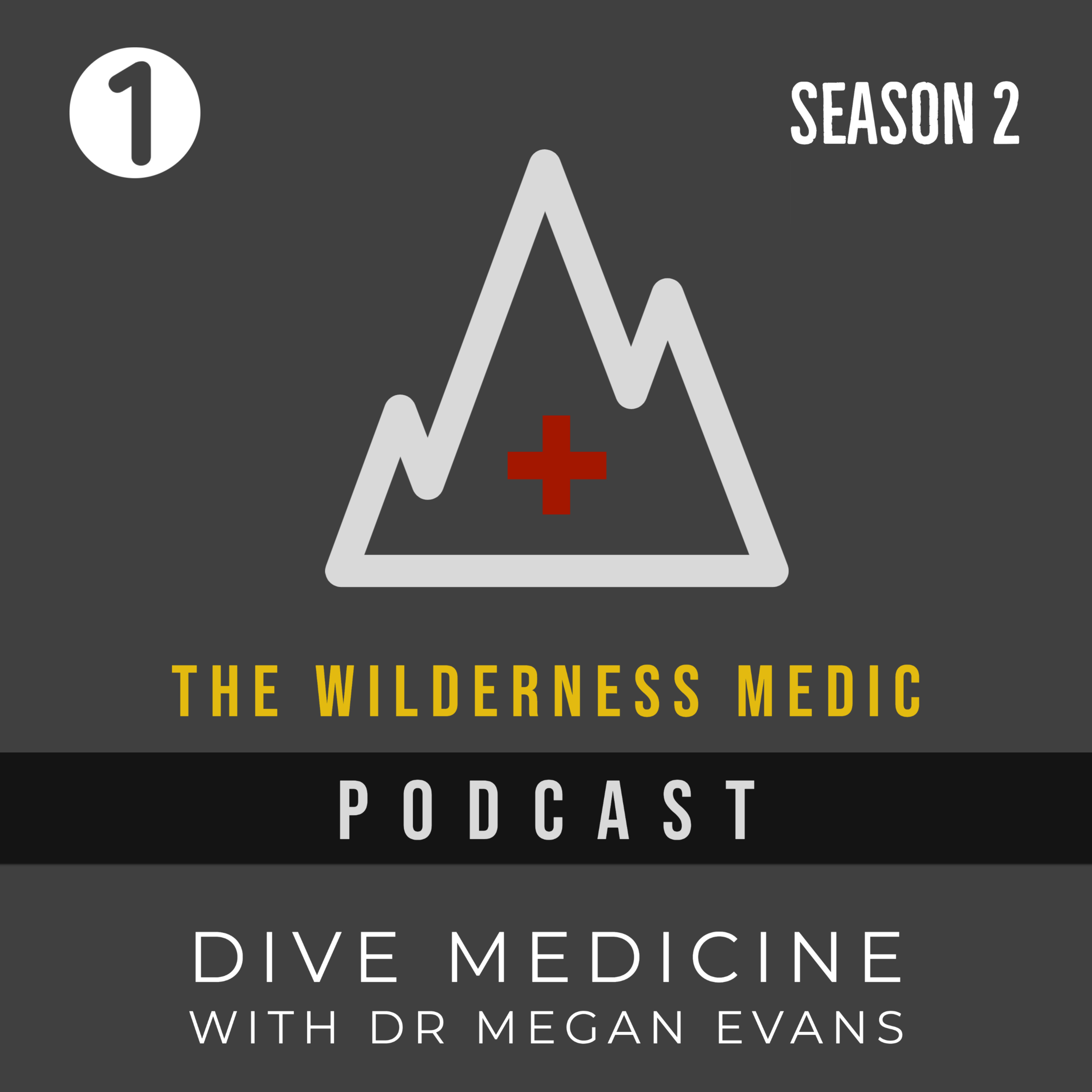 The Wilderness Medic Podcast