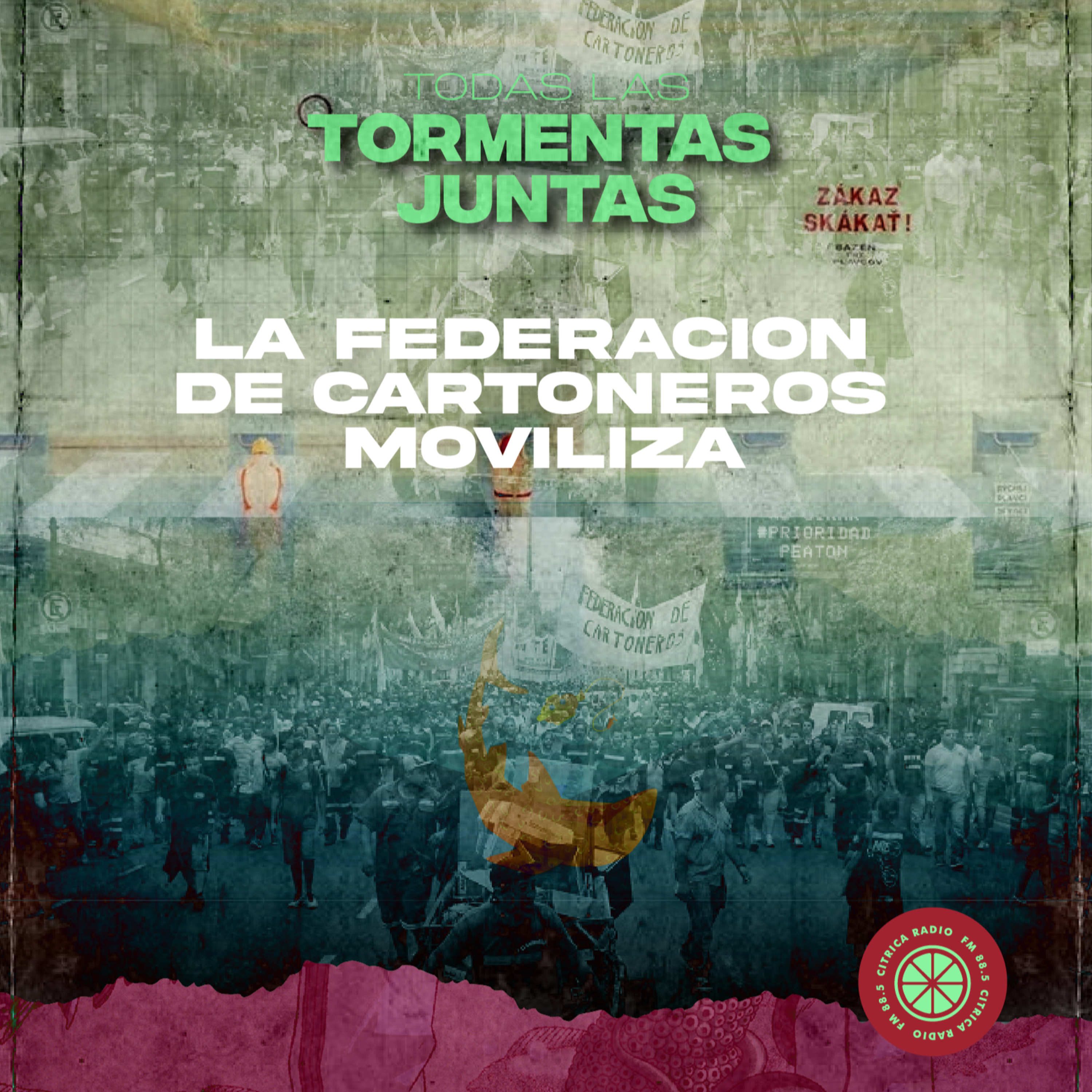 LA SILENCIADA REPRESIÓN A LOS CARTONEROS episode artwork
